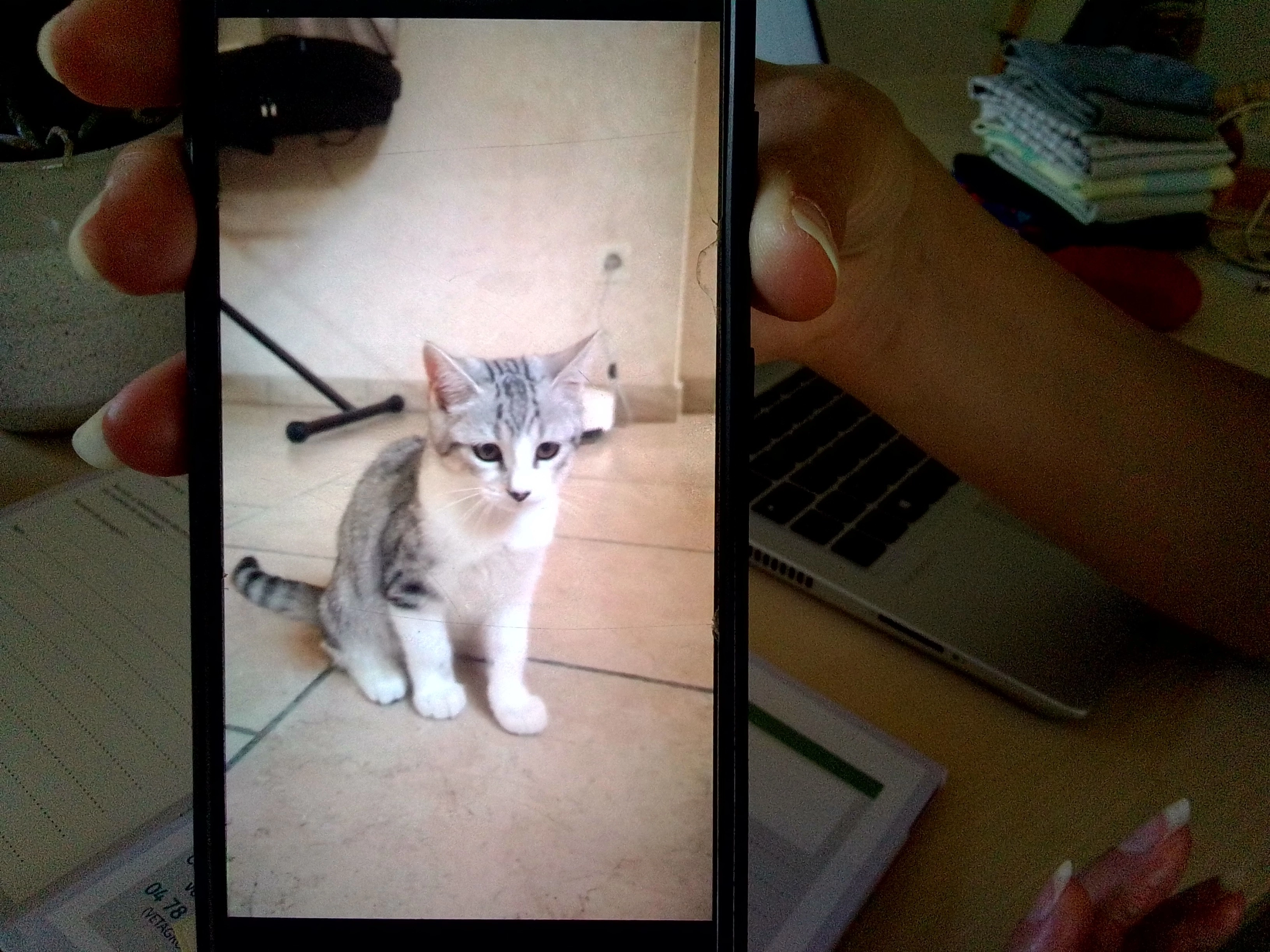 Albi - Impasse La Cour de Mûre, Bourgoin-Jallieu