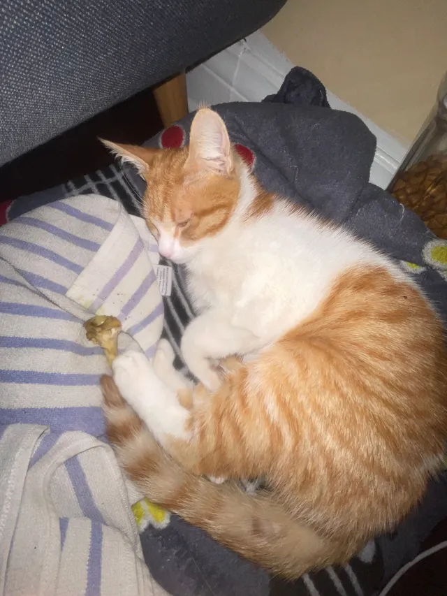 Cane - Broadway, Huntington Park