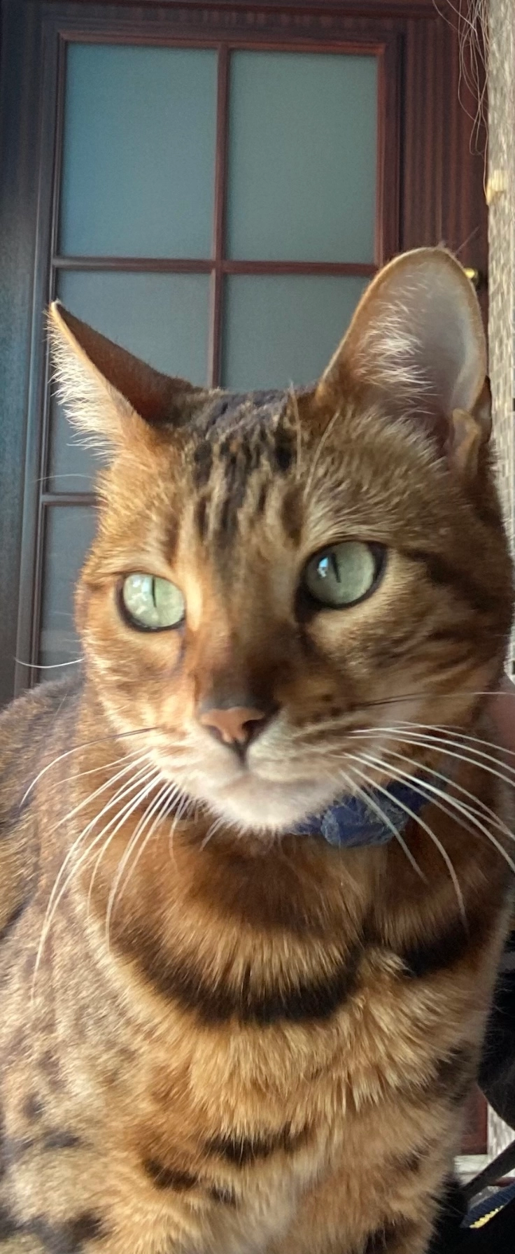 Caramel - Oelbergstraße, Leutesdorf