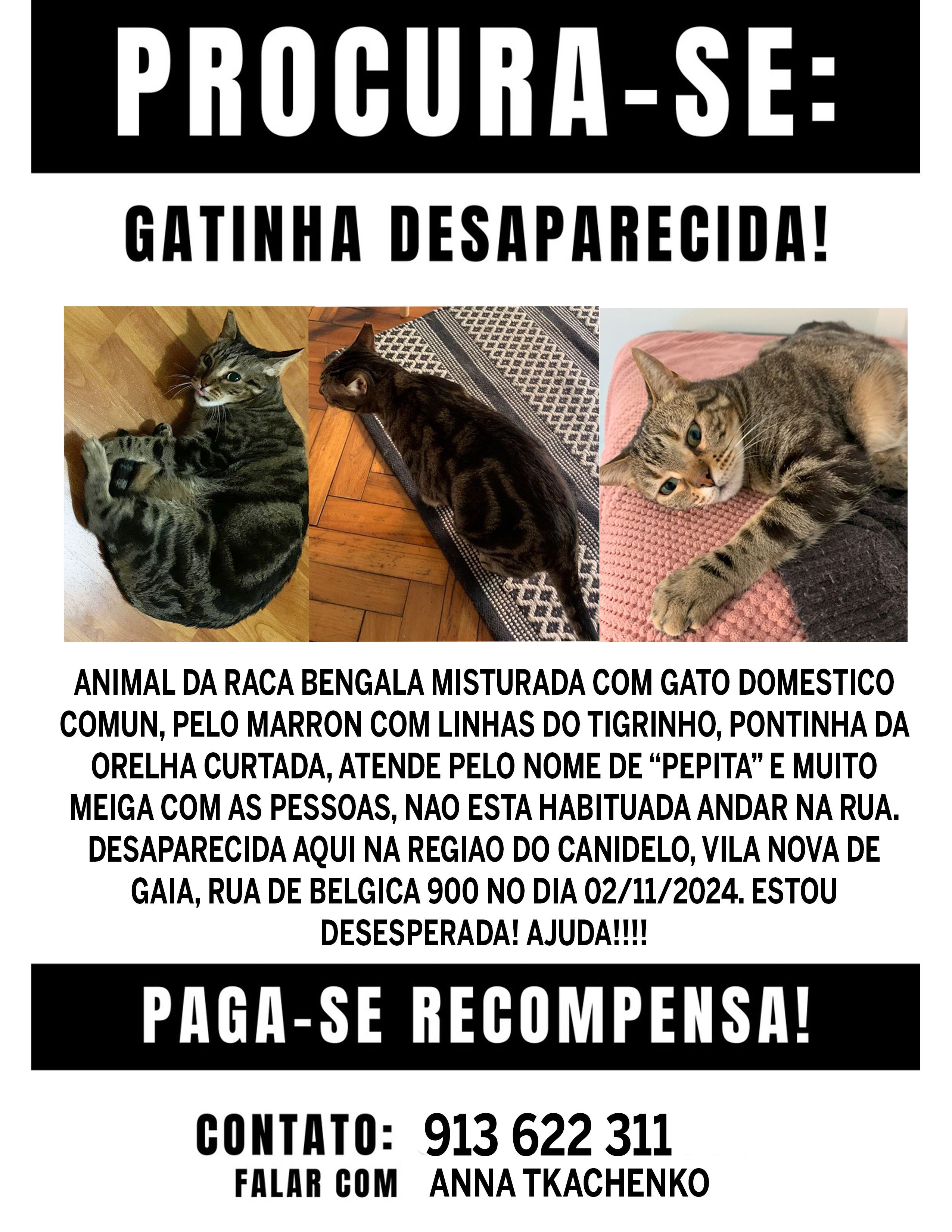 Pepita - Rua Da Bélgica, Vila Nova de Gaia