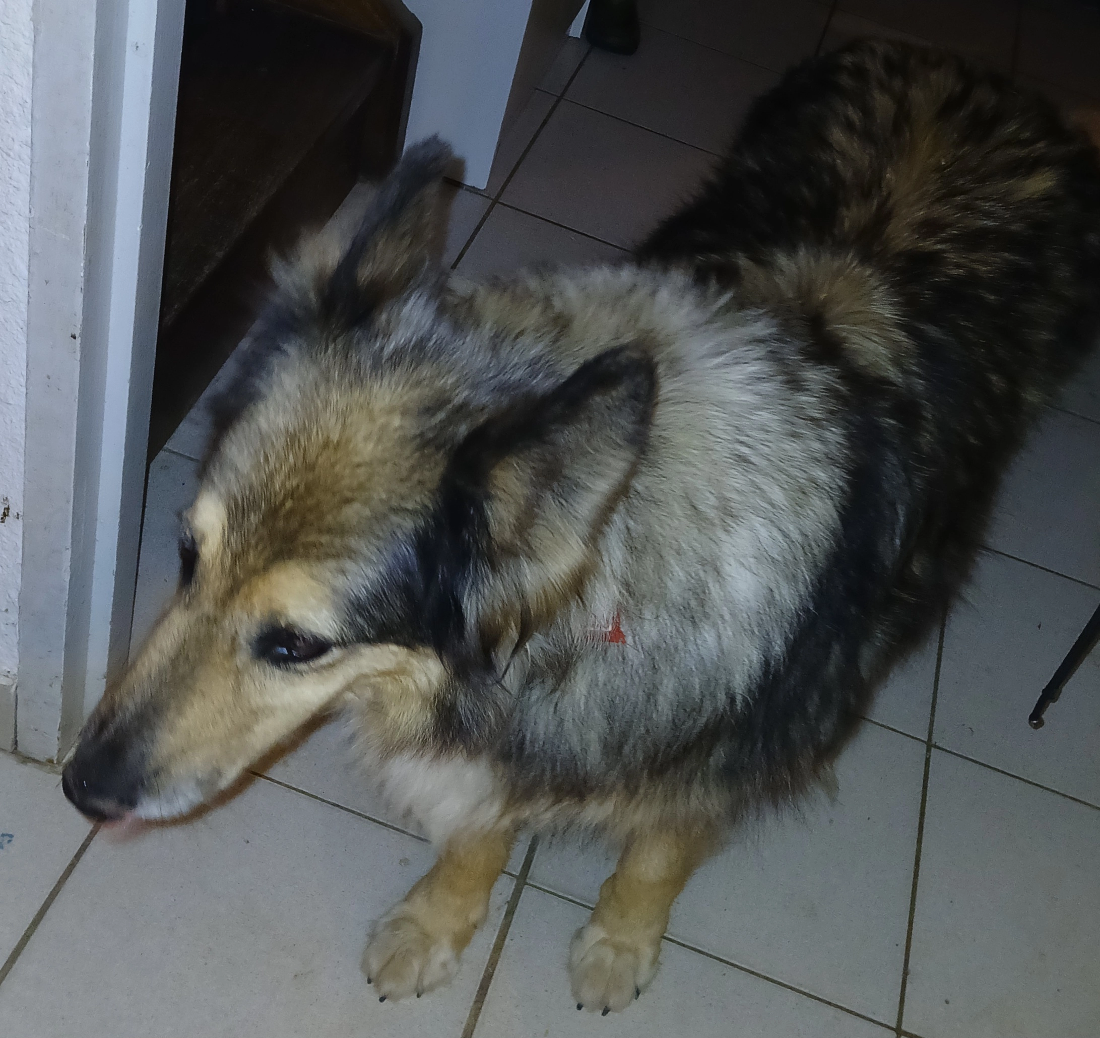 Tania  - Chemin Du Chalet De Praroman, Lausanne