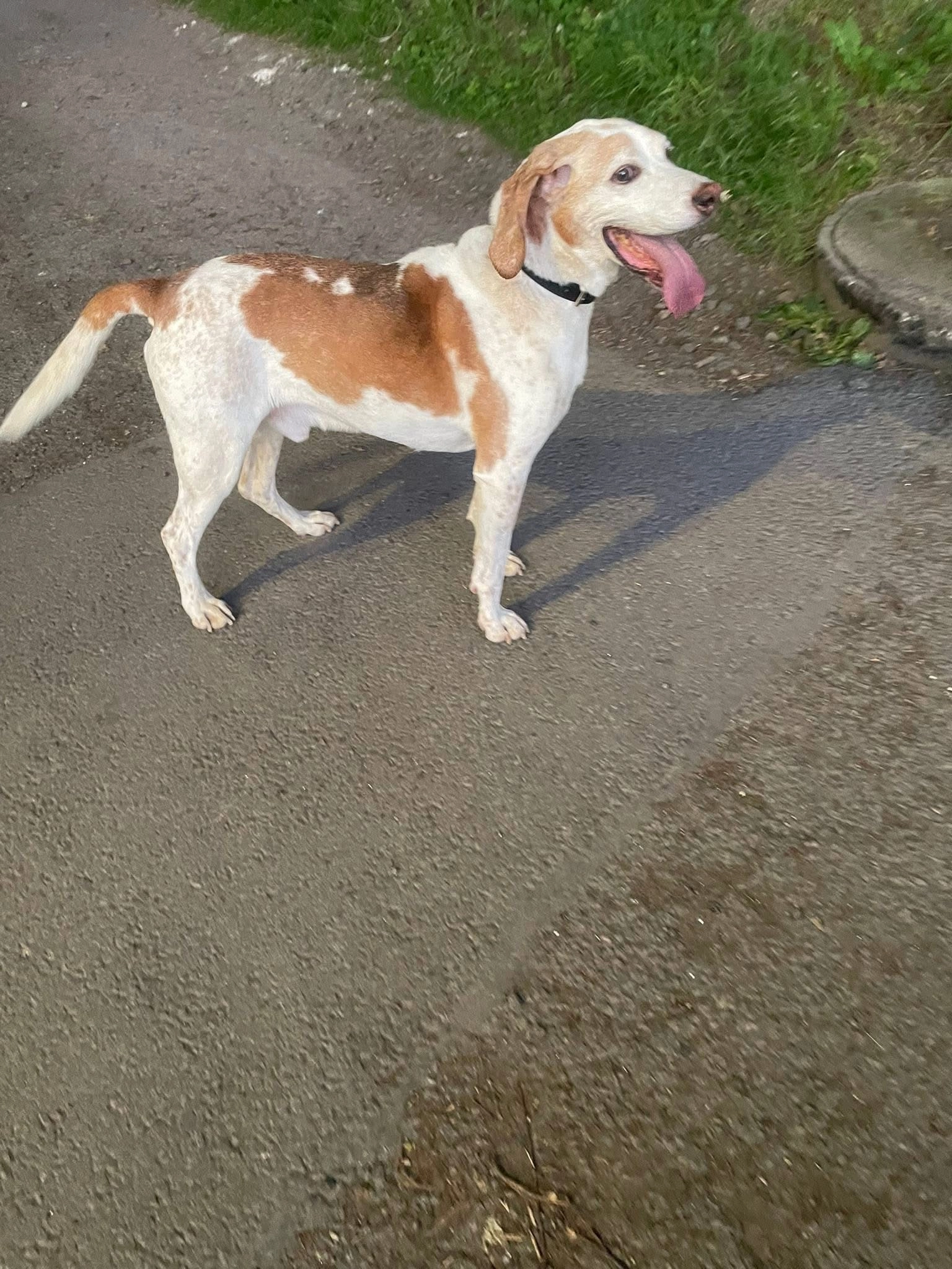 Charly  - Boulevard De La Liberté, Riom