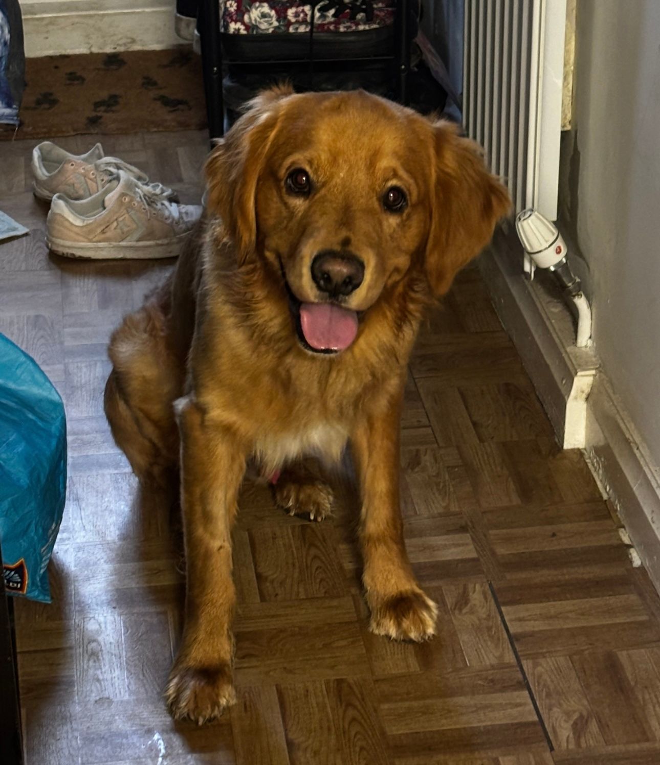Shadow  - Lavender Way, Norton , Stockton-on-Tees