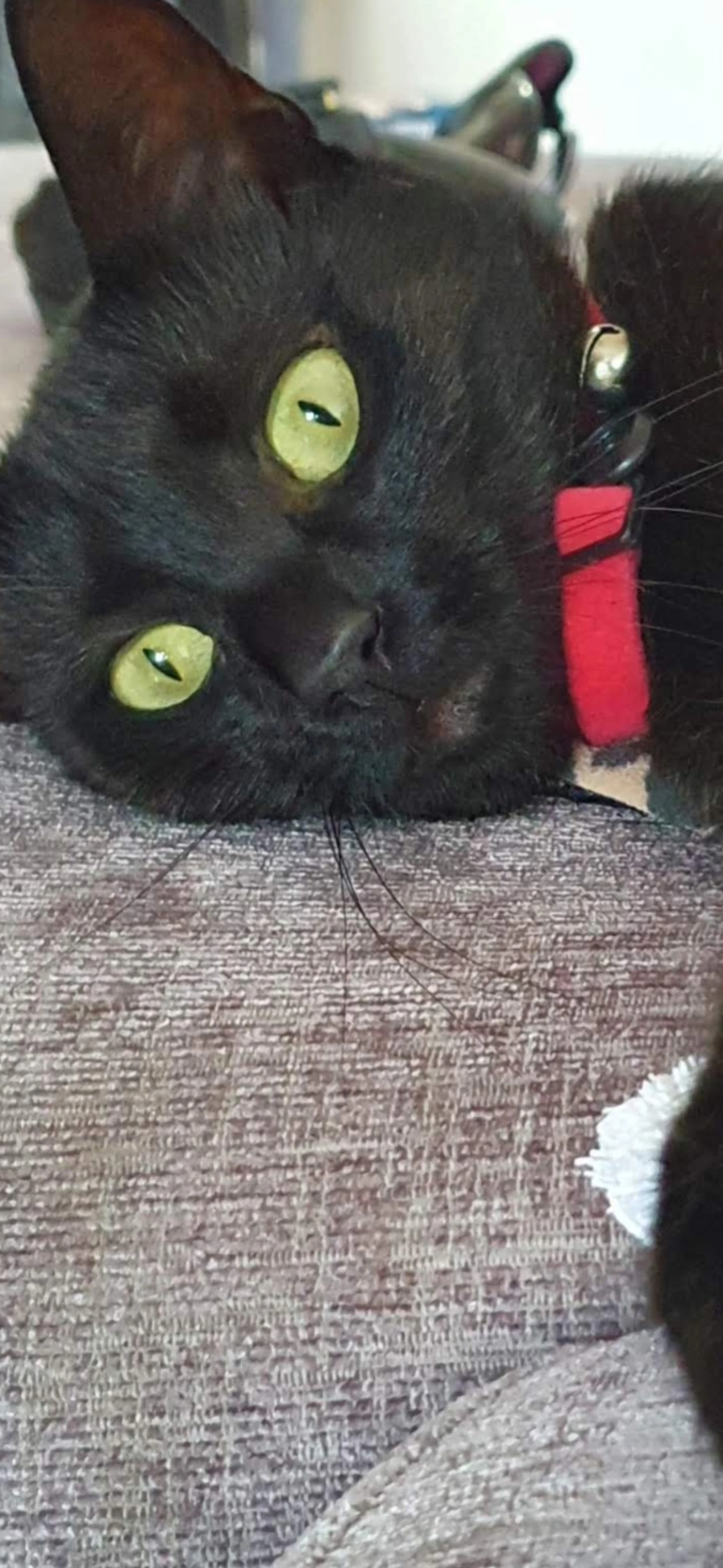 Neagra - UB5 4, Northolt