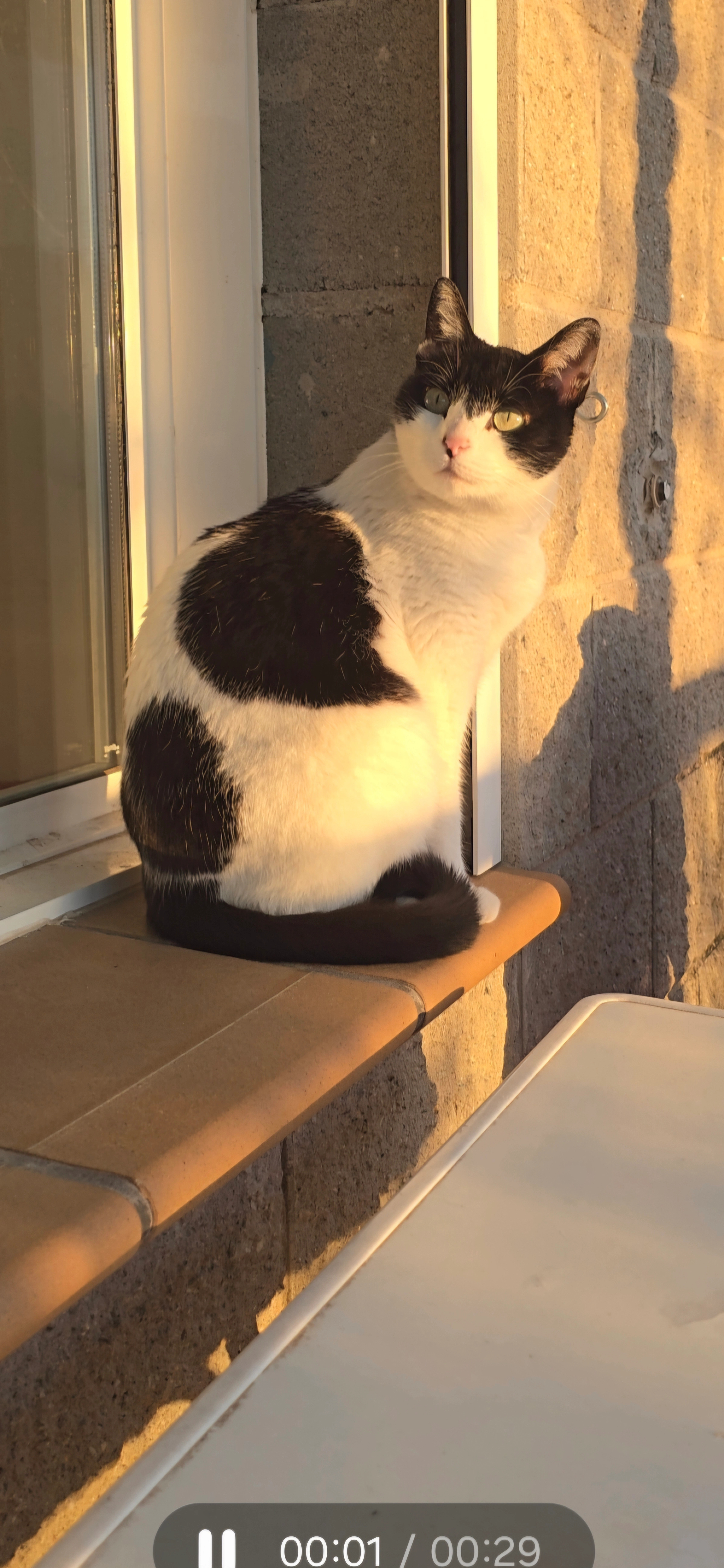Arya - Carrer del Canigó 58, l'Ametlla del Vallès