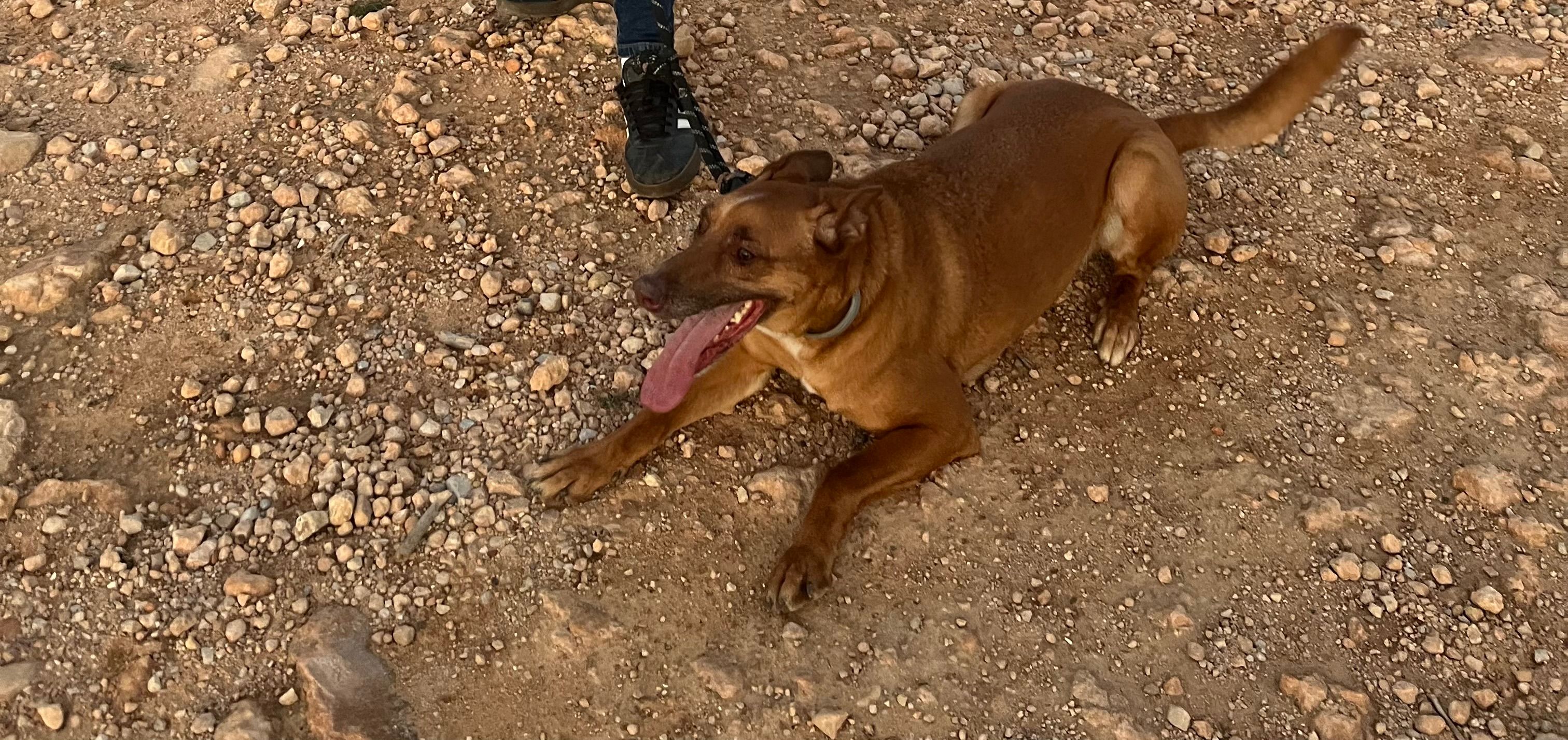 REX - Calle Murta, Paterna