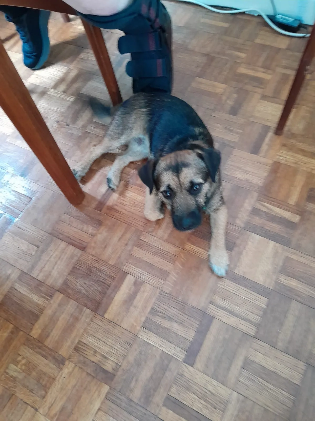 Buzz - Vera Road, Bristol