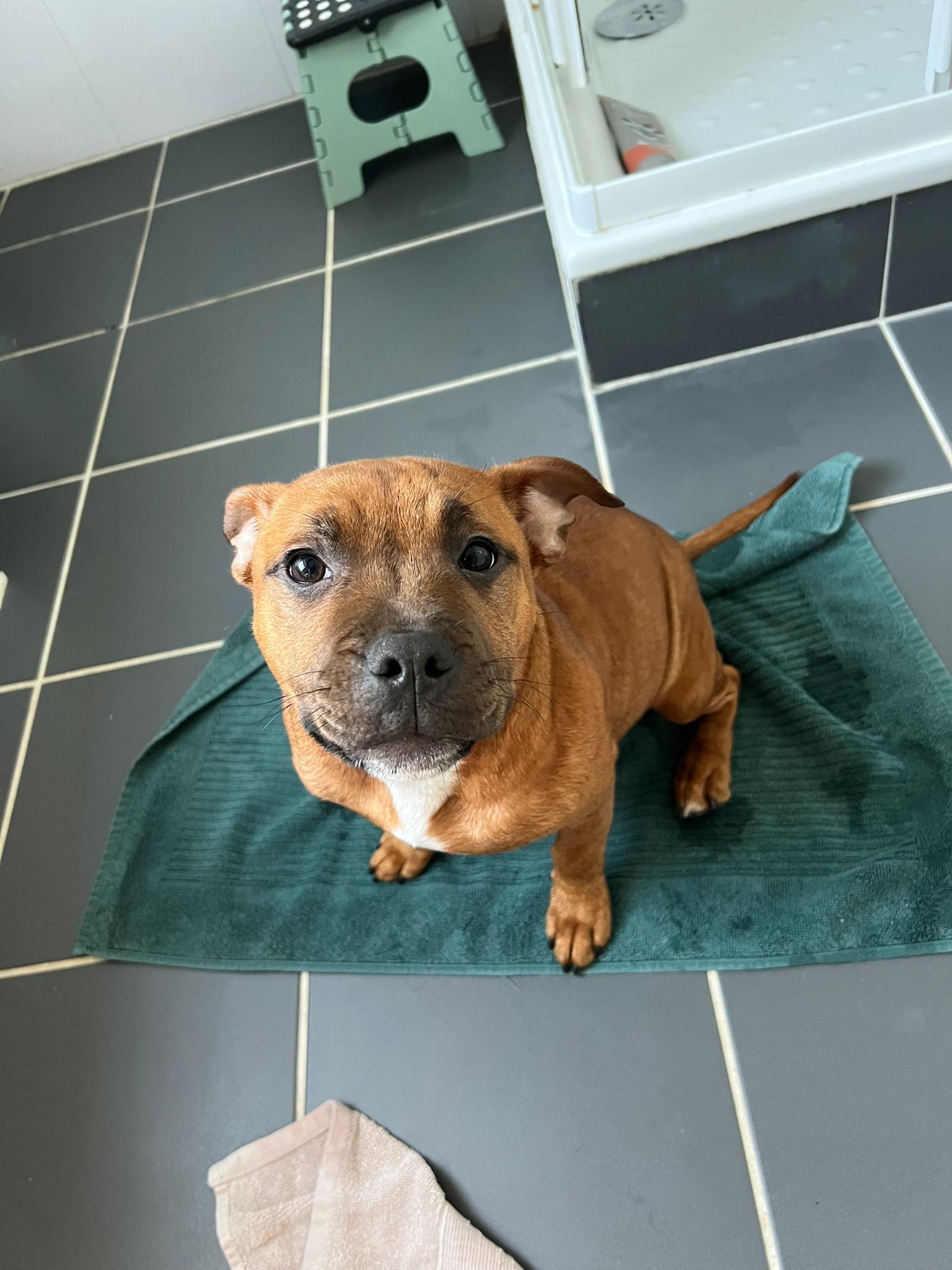 Viny - 15C Rue Neumatt, Ergersheim