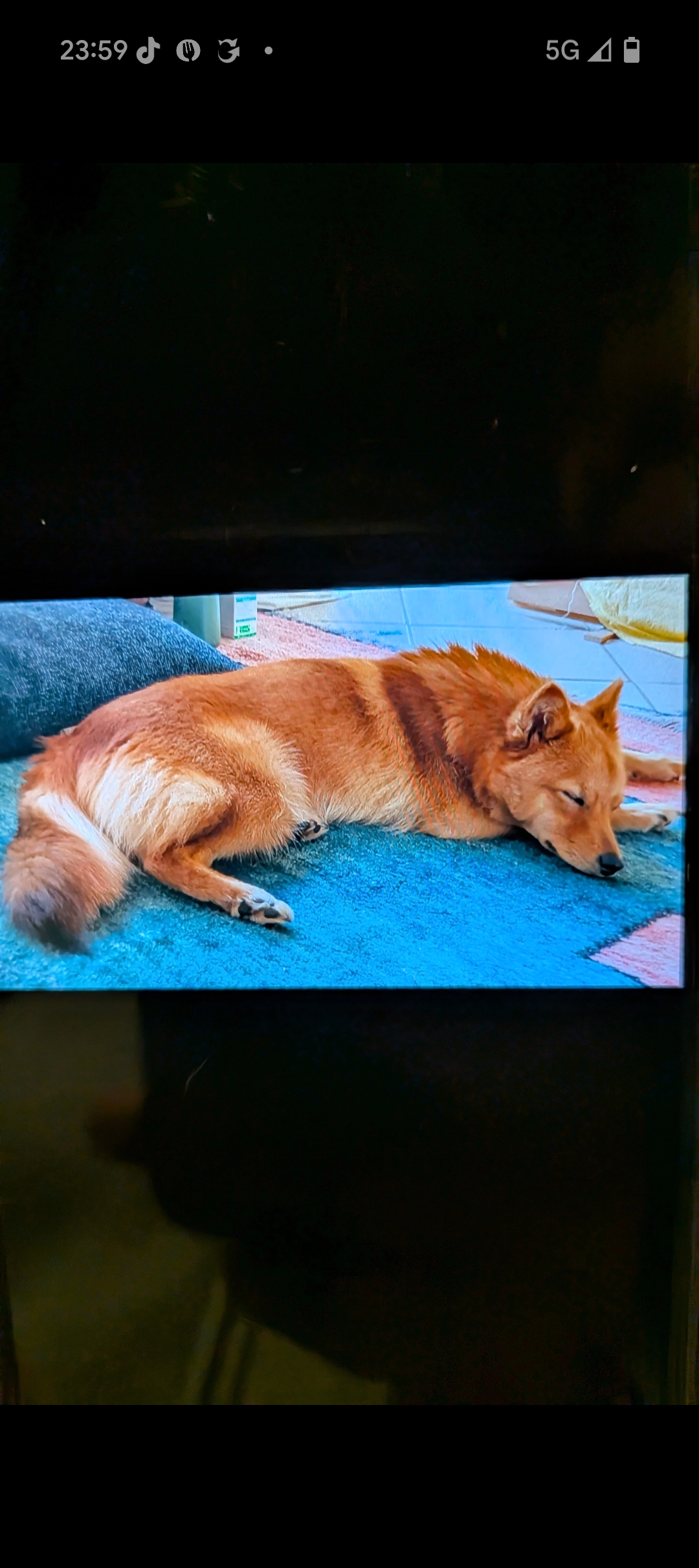 Vaika - Rue de Percy, Meudon