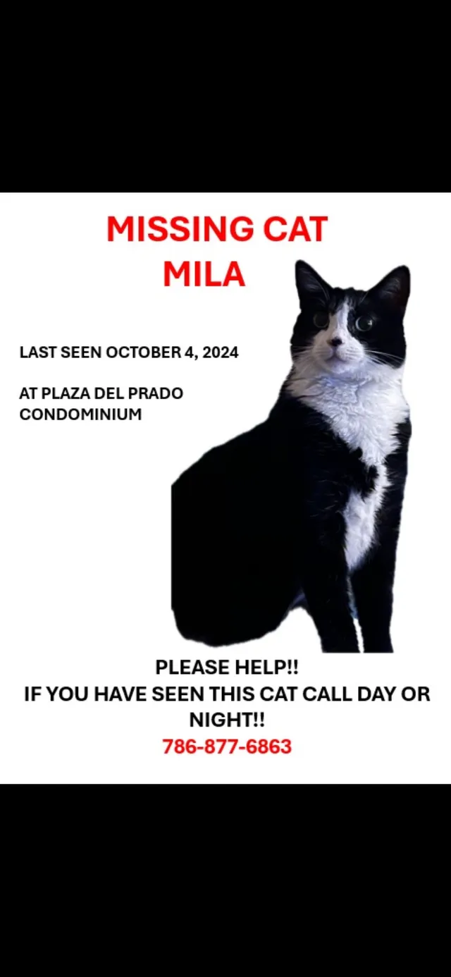 Mila - 18021 Biscayne Blvd, Aventura