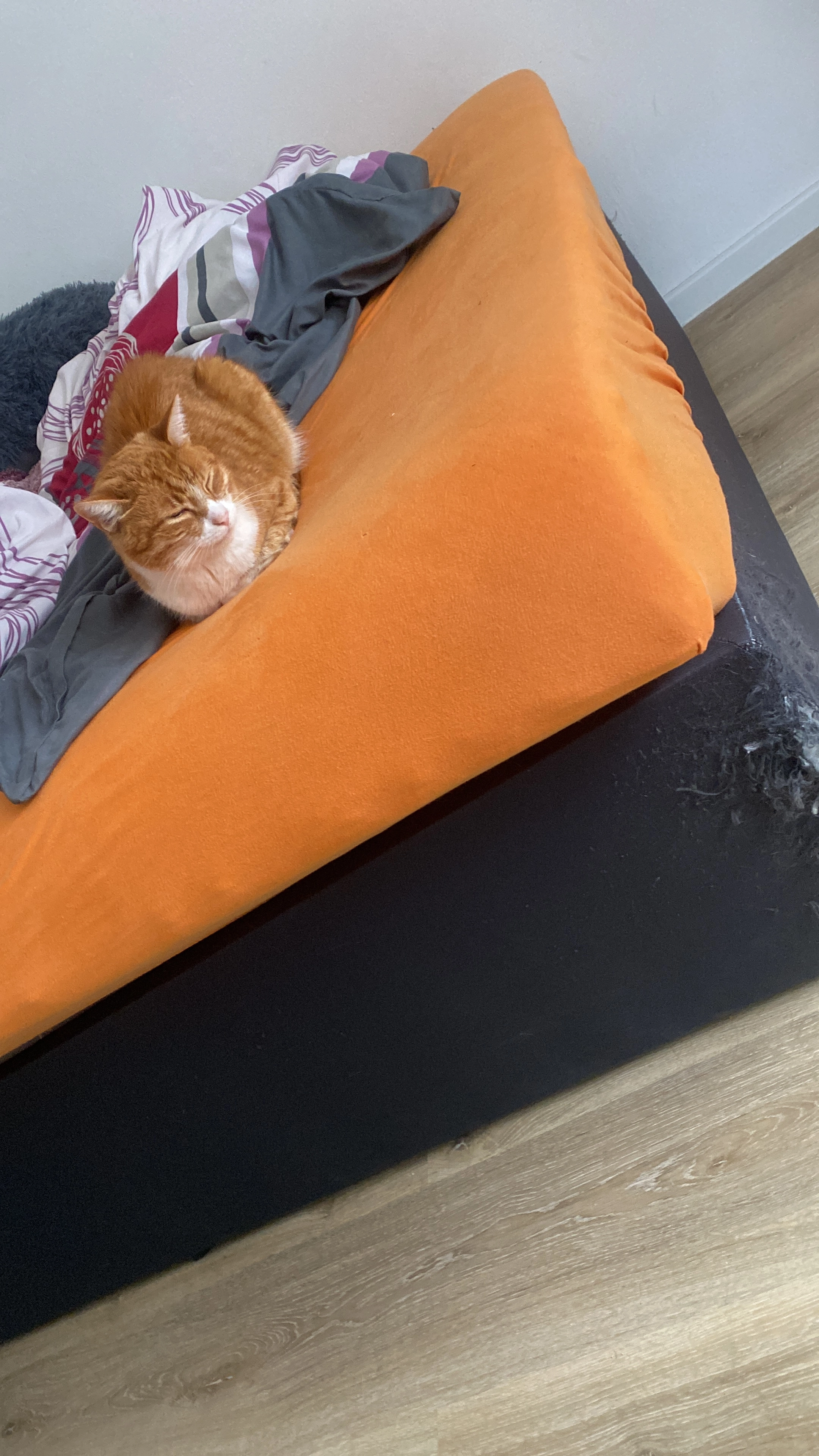 Prinzlein - Hintere Gasse, Herrenberg