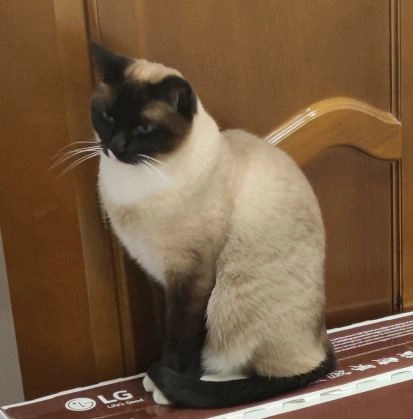 Ferdinand - Reindlwaldweg, Eggersdorf bei Graz