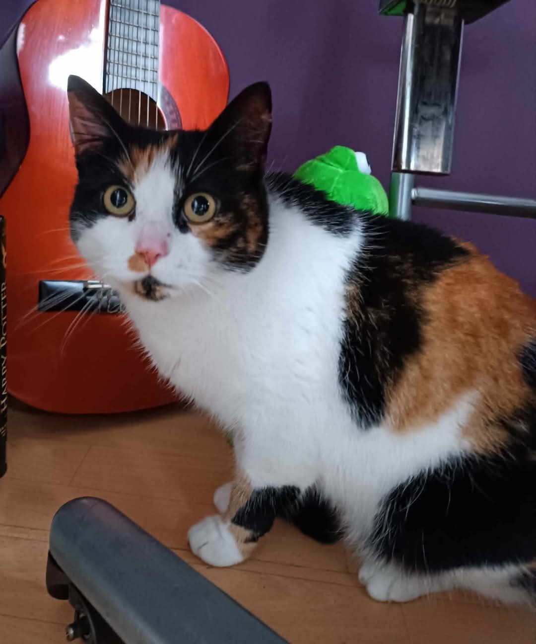 Bailey - Alte Weezer Straße, Kevelaer