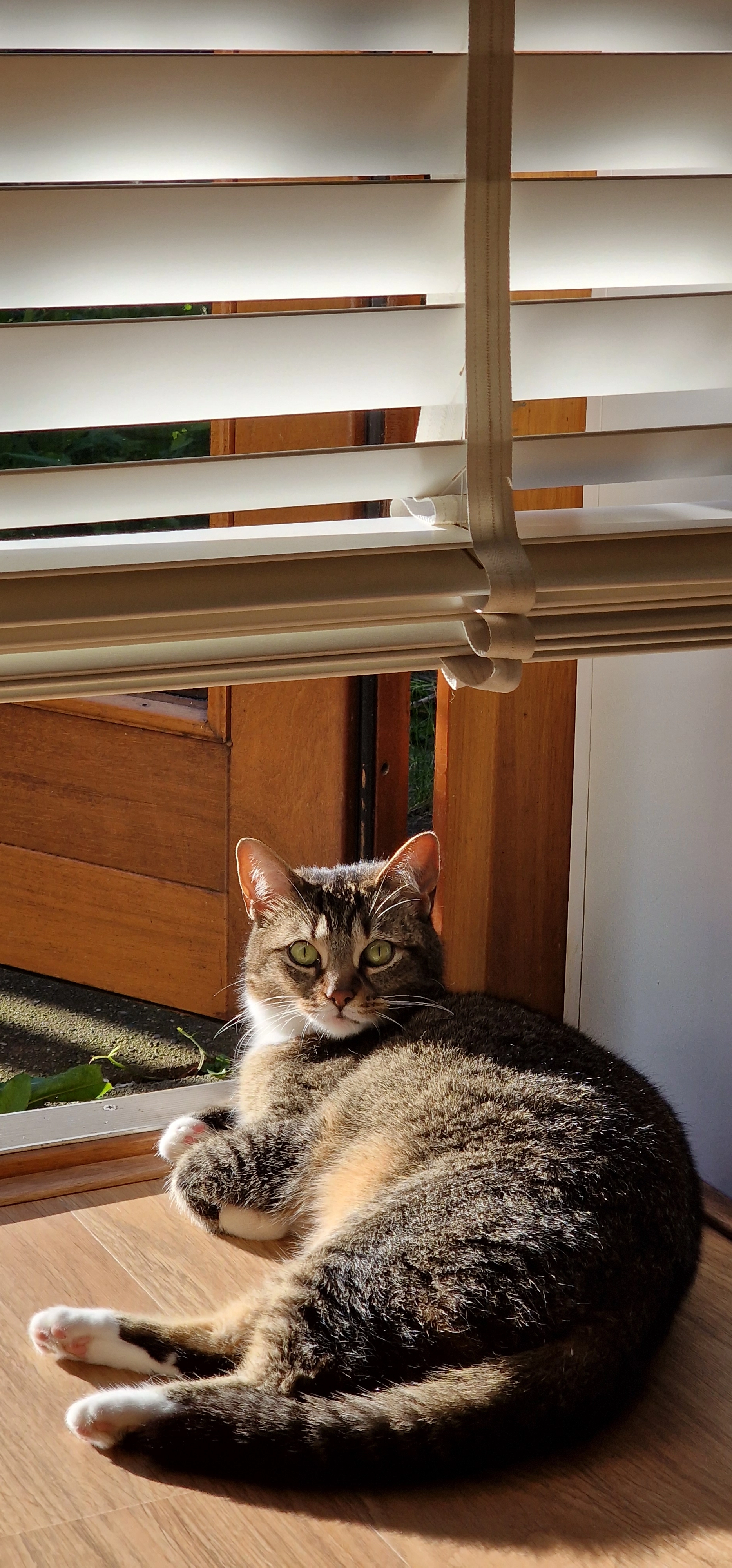 Luna - Amsteldiep, Lelystad