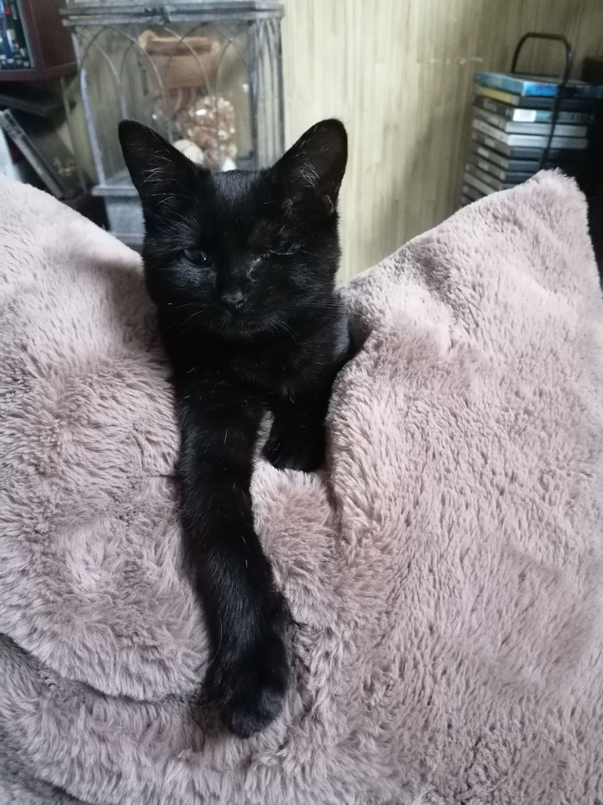 Wally - Rue du Calvaire, Guimiliau