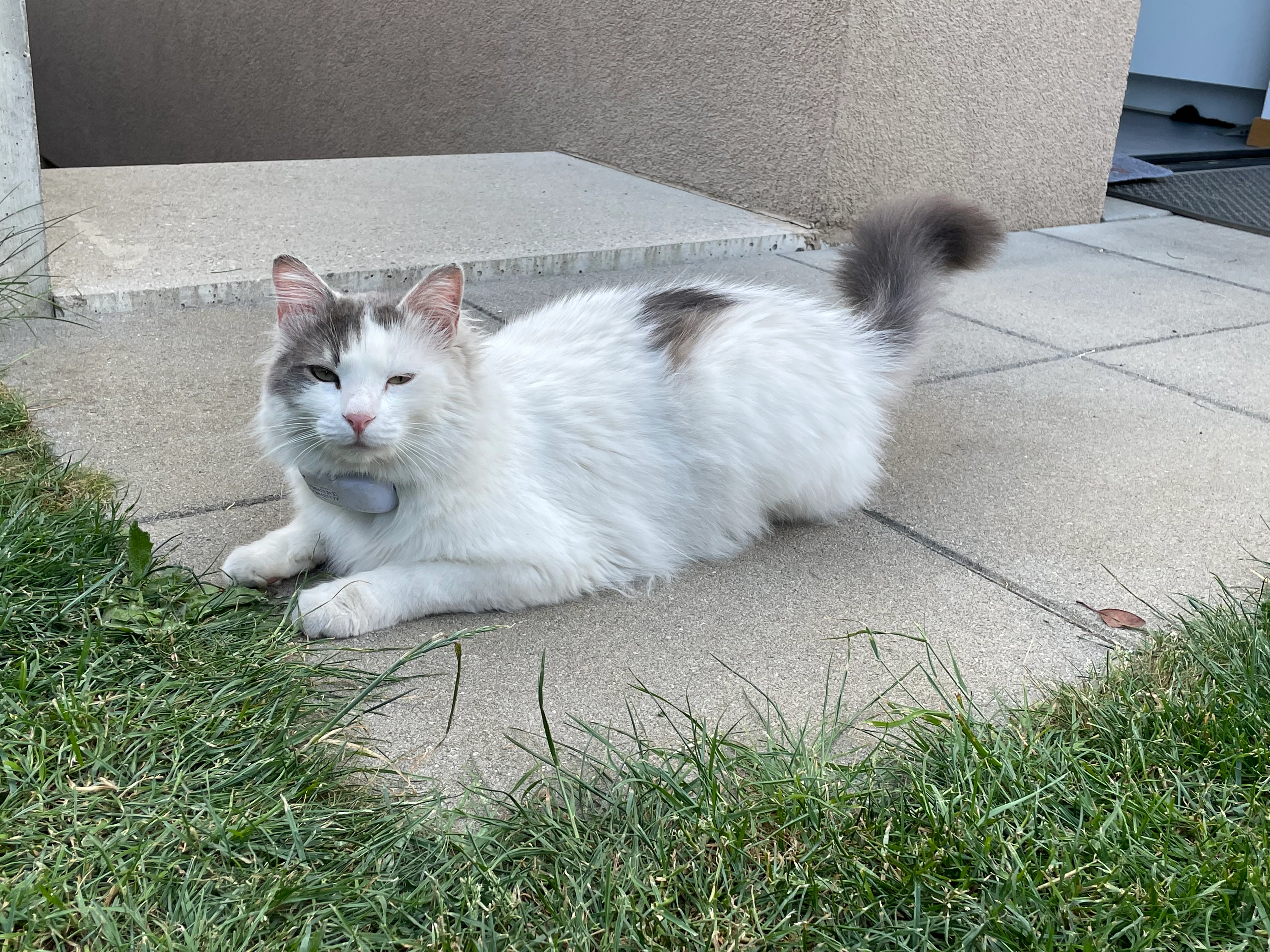 Alec - Rue du Verger, Milvignes