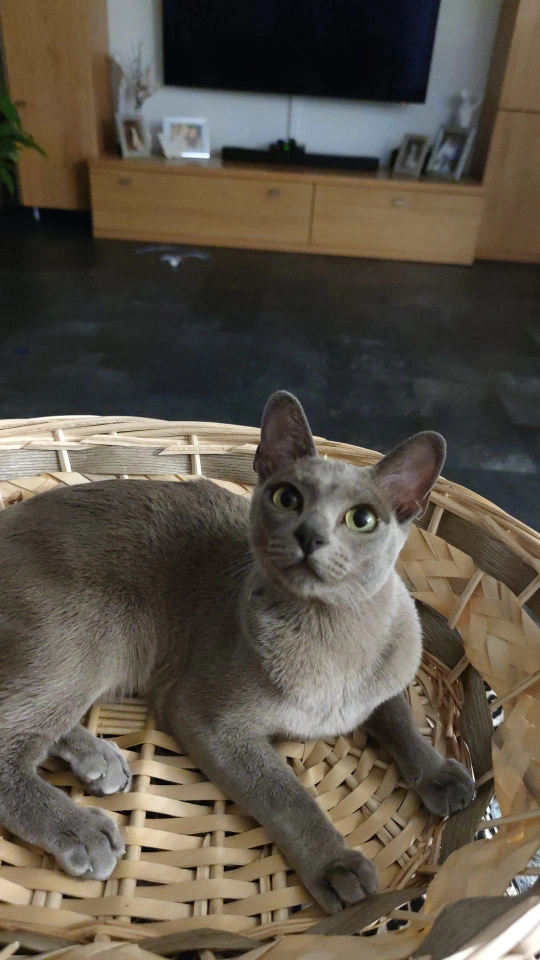 Nala - Ludwig-Erhard-Straße, Rottenburg am Neckar