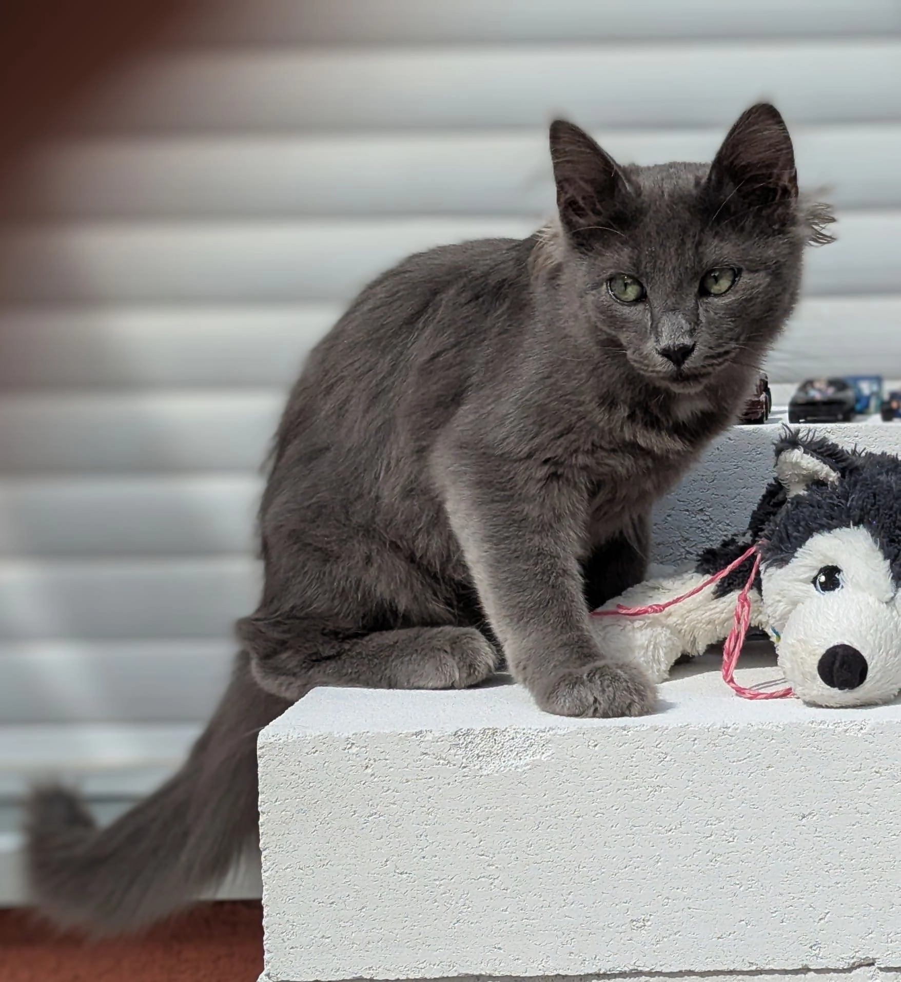 Salem - Am Roten Graben, Ranstadt