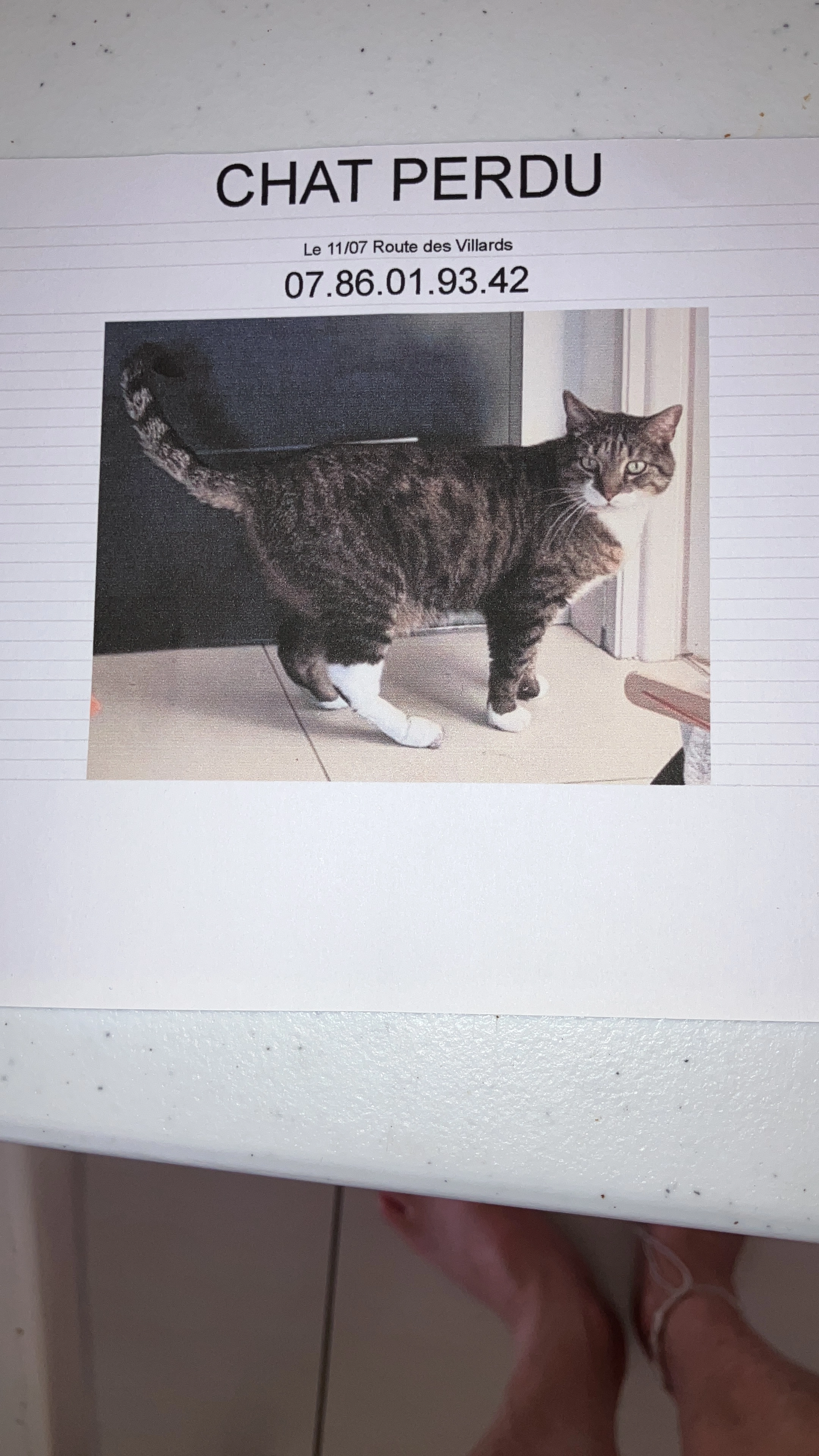 Archi - 600 Route des Villards, La Biolle