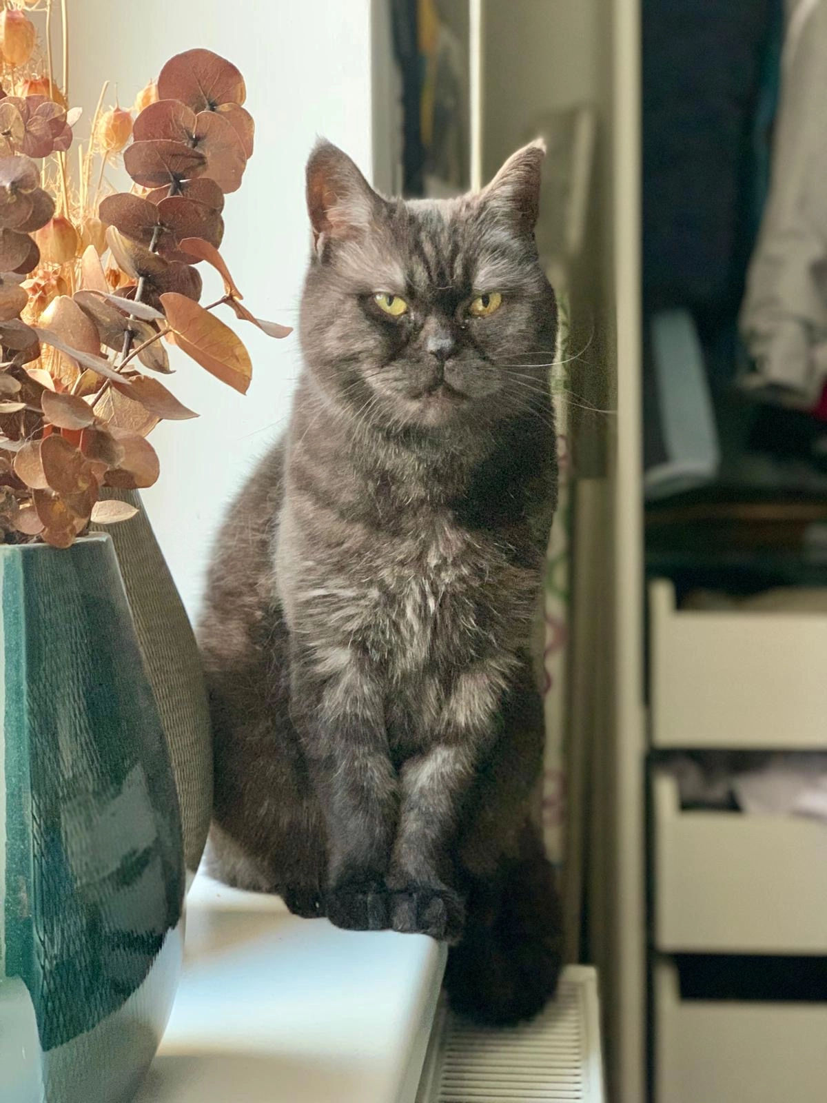 Jinx - Burgunderweg, Wien