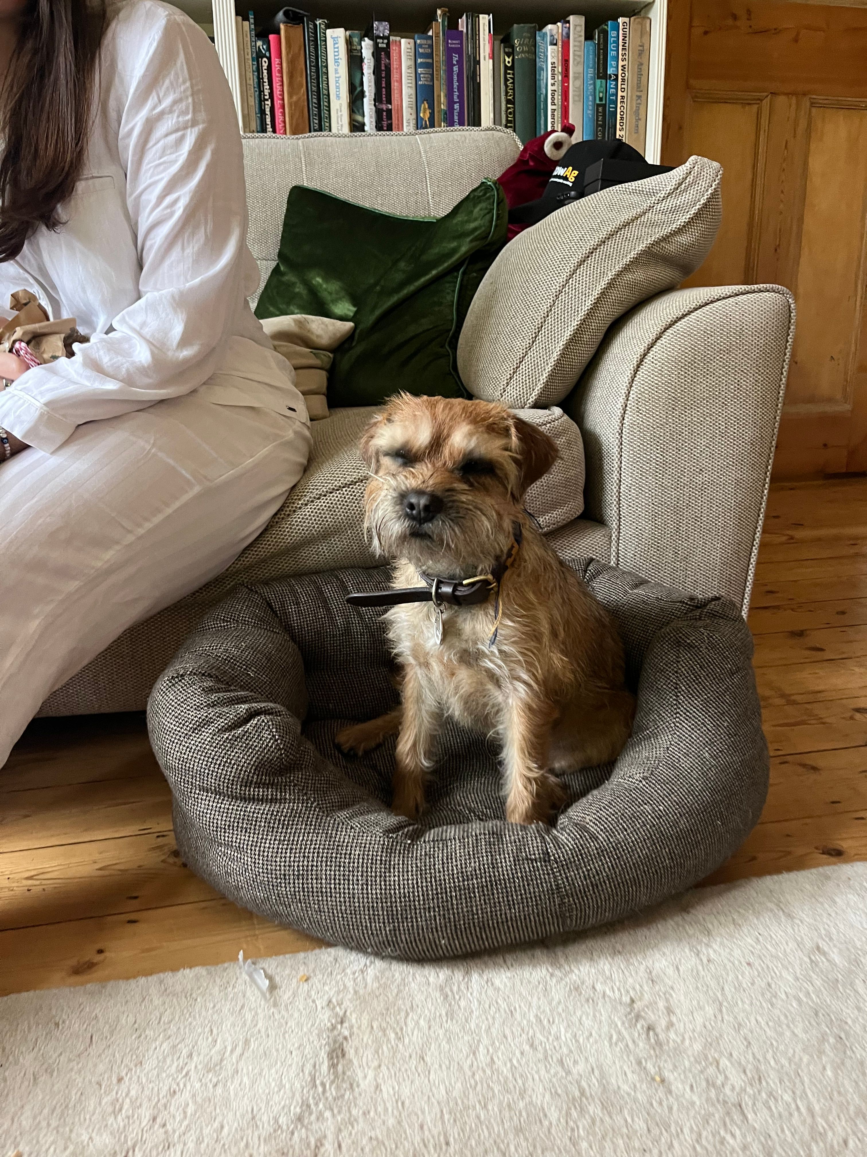 Roxy - Bourne Close, Salisbury