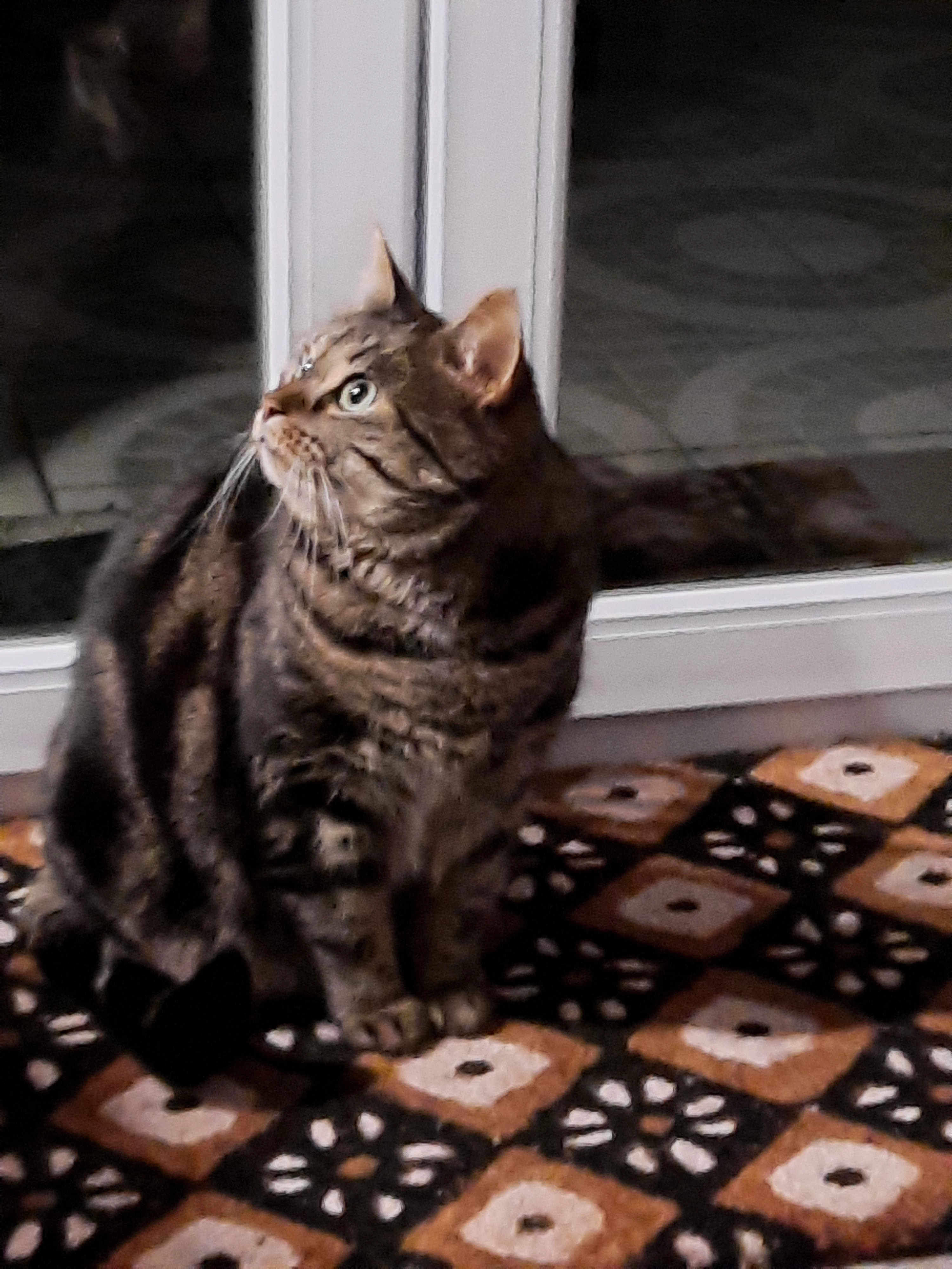 Maya  - 278 Grande Rue, Notre-Dame-d'Aliermont