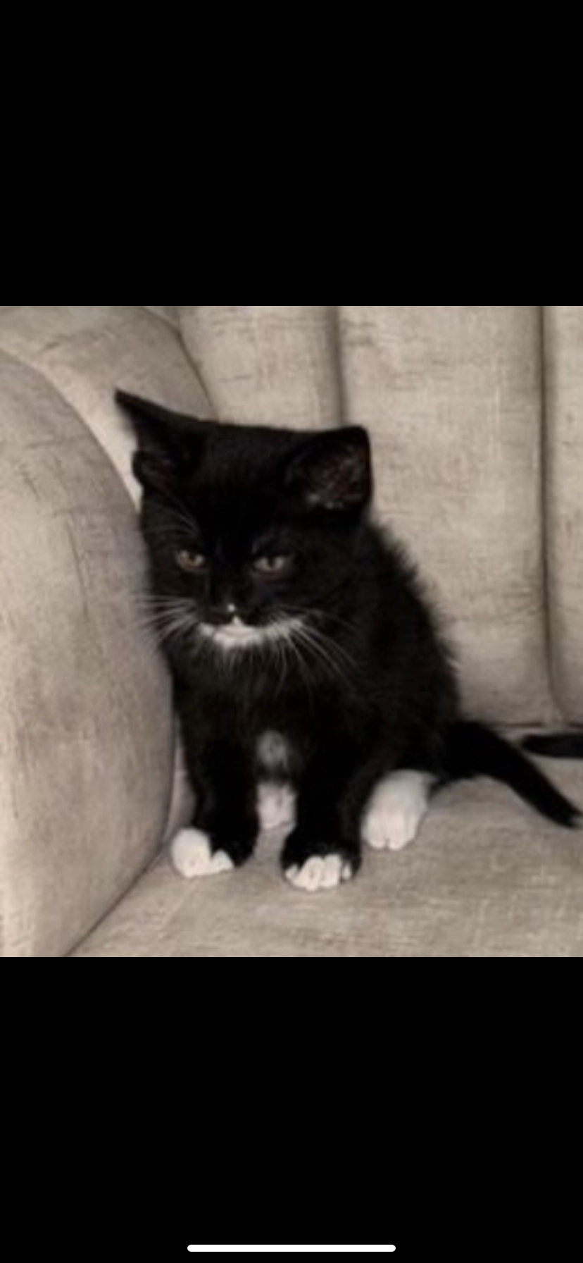 Bubi - Nieheimer Straße, Bielefeld