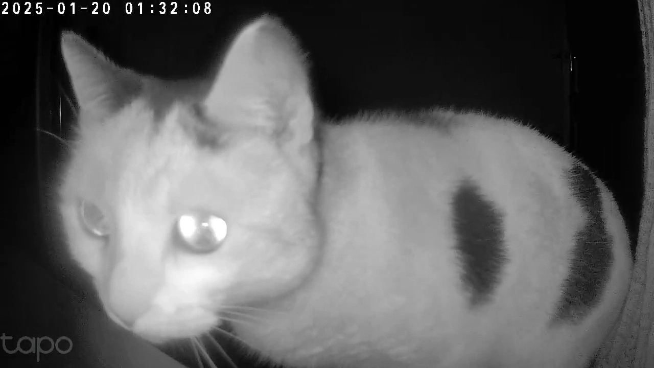 Amber - Brunswick Street, Cheltenham