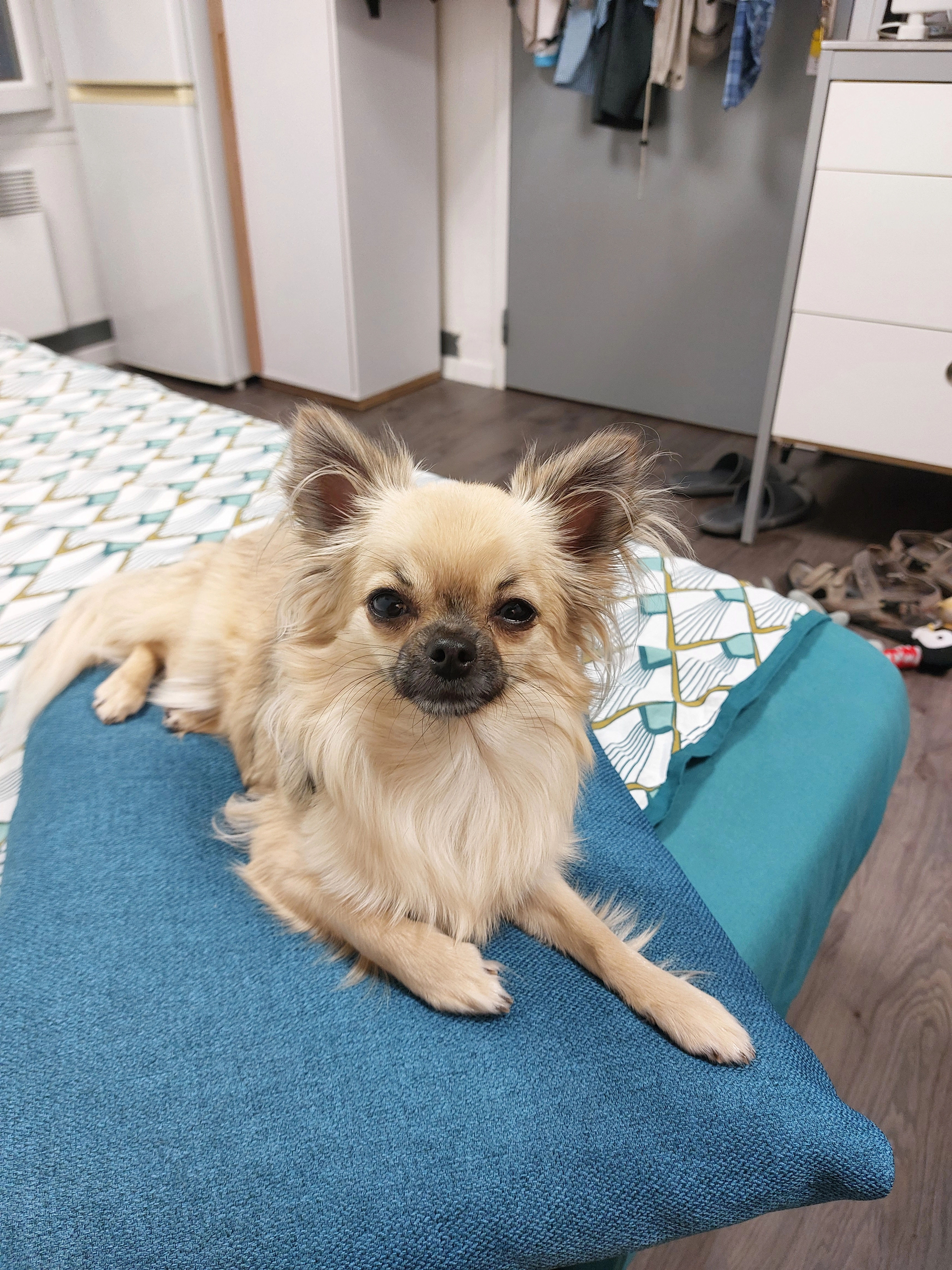 Ouchka  - Parc du Casino, Néris-les-Bains