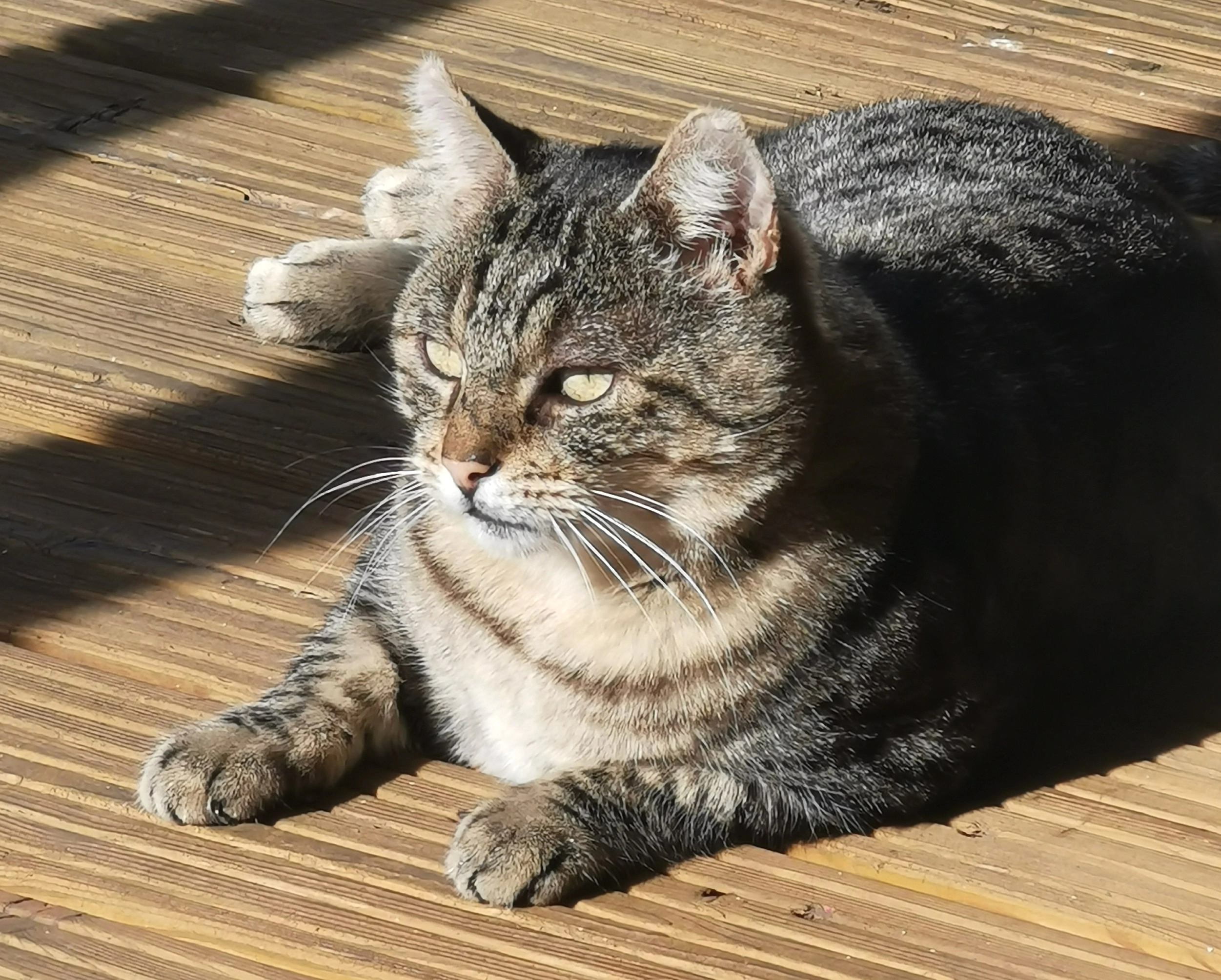 Lucky - An Der Trave, Bad Segeberg