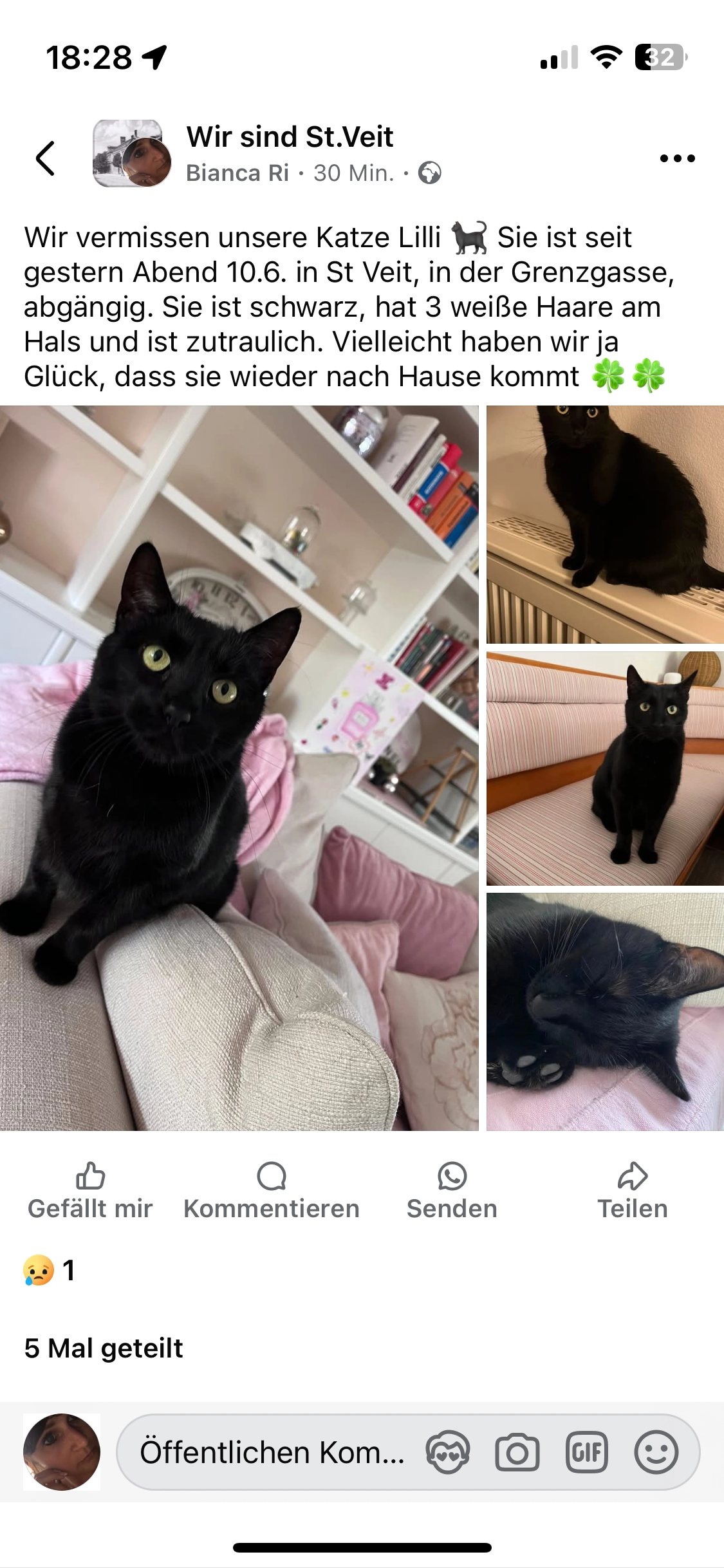 Lilli - Grenzgasse 9, Berndorf