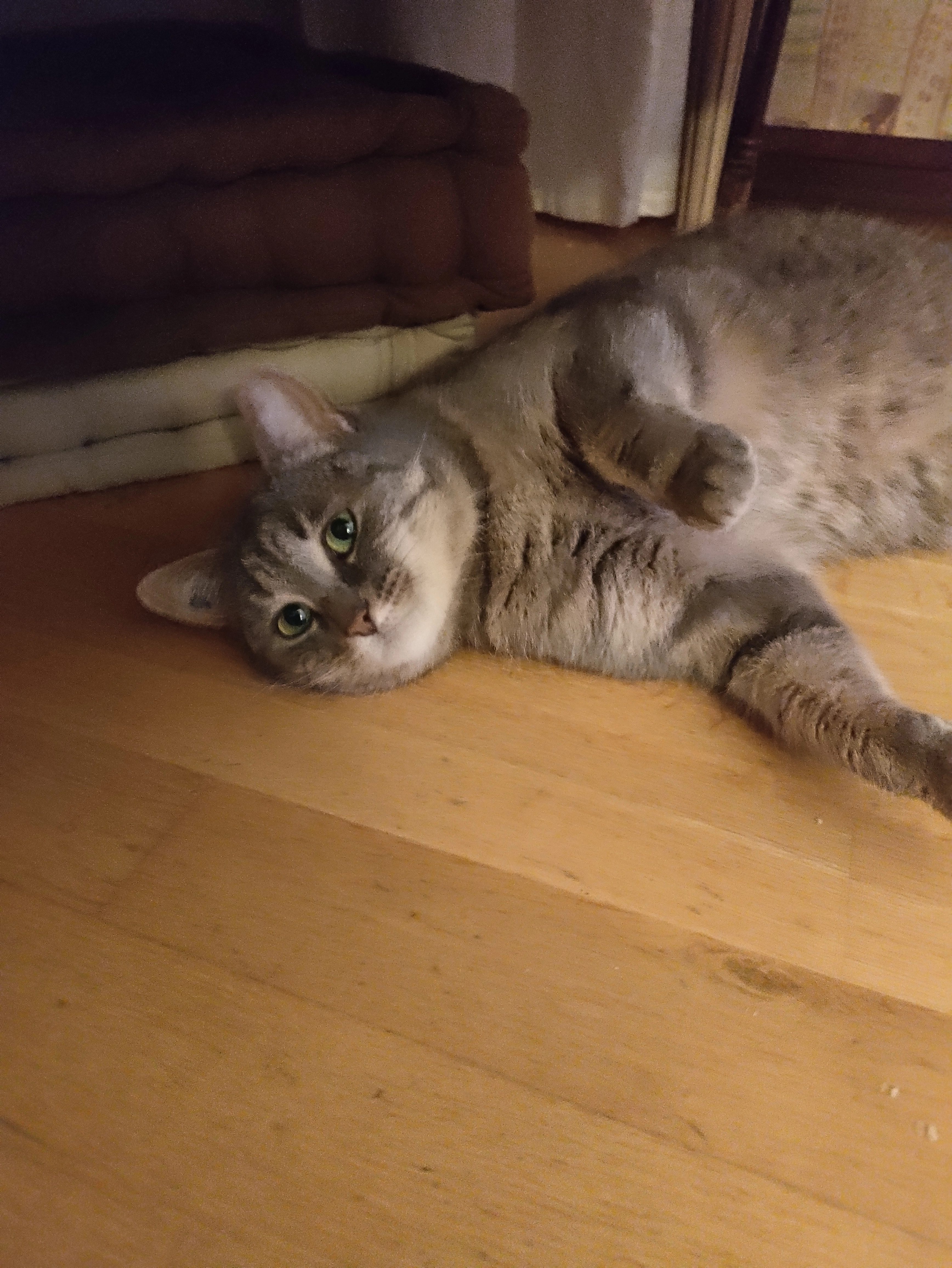 Orore - 12 Rue de la Paroisse, Versailles