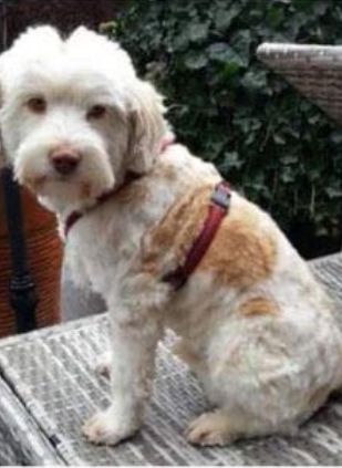 Paul - Wiesenweg, Oberhausen