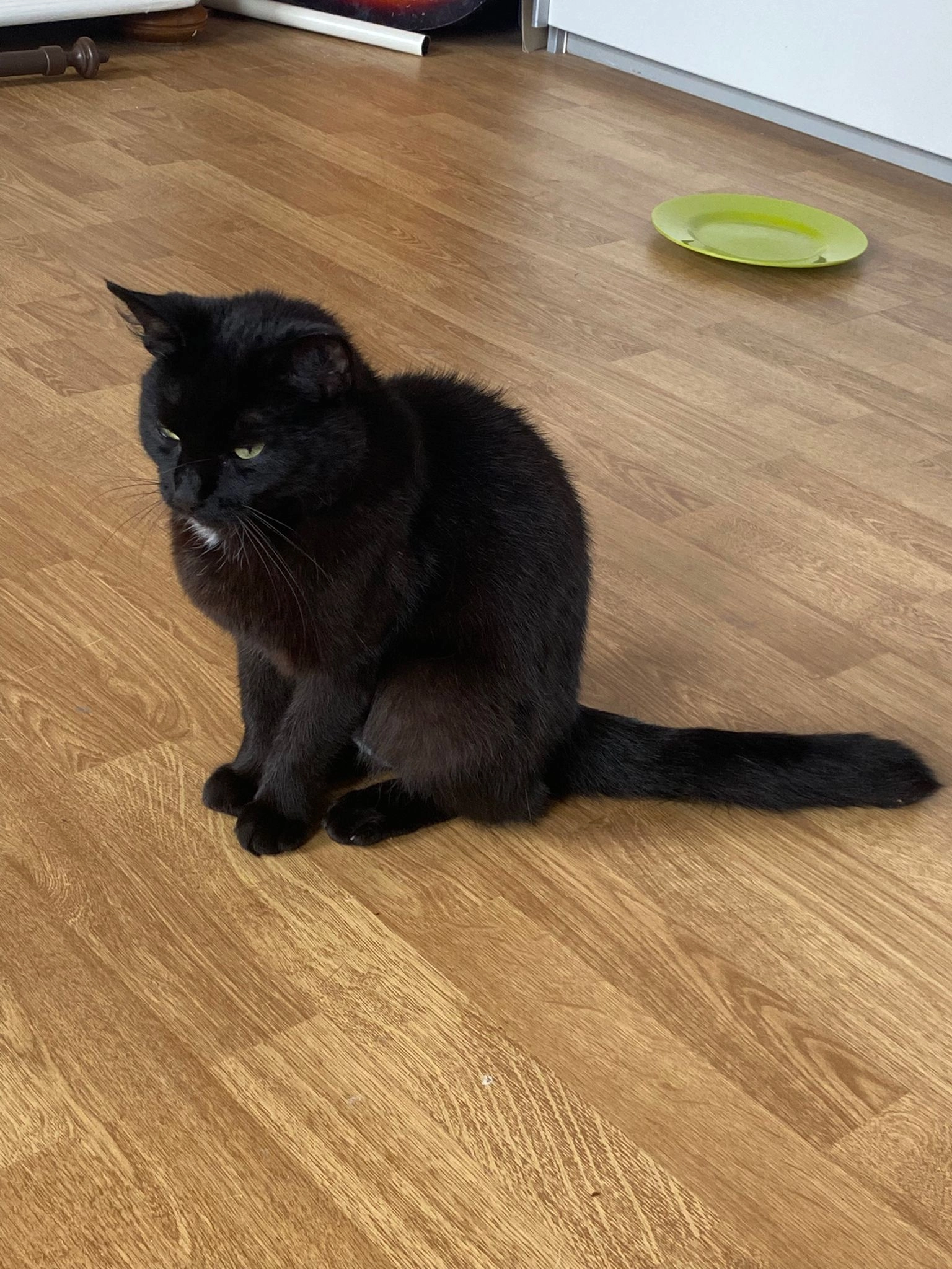 Maja - Marienstraße, Emstek