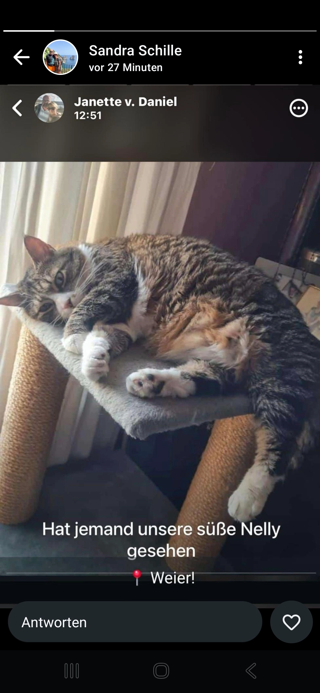 Nelly - 77656, Offenburg