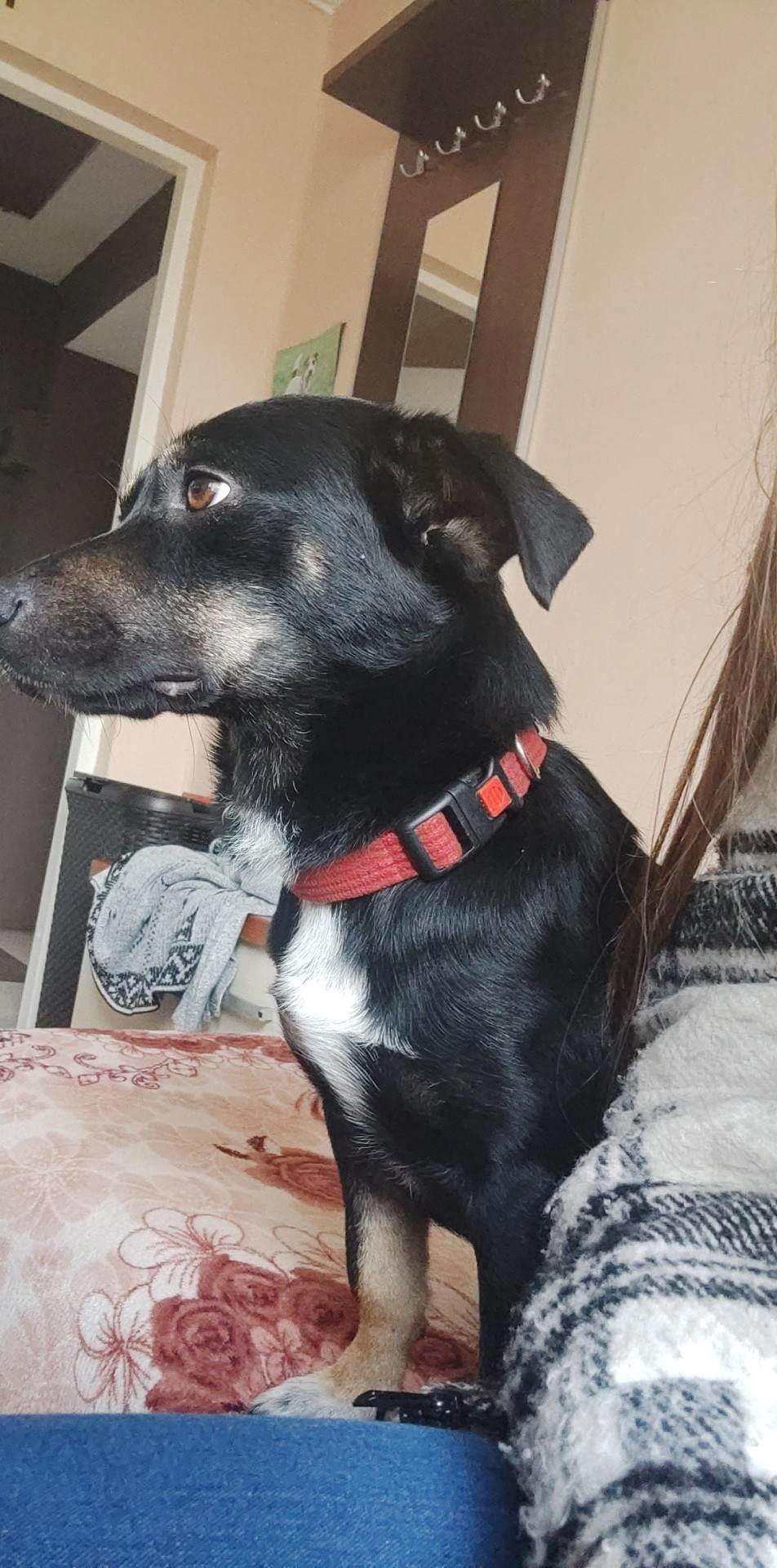 Jacob - Mauritsstraat, Roermond