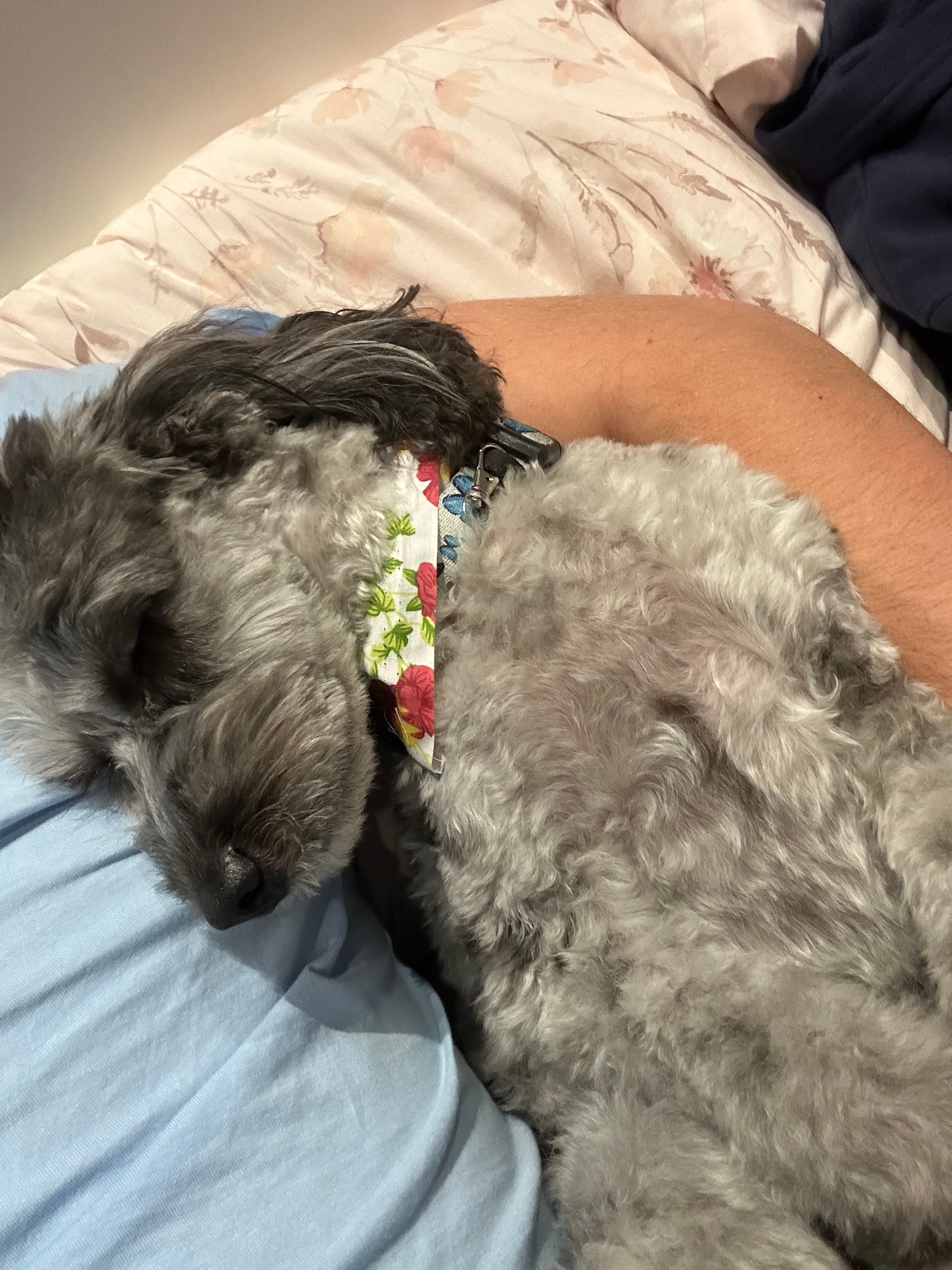 Bonnie - Back Lane, Great Yarmouth