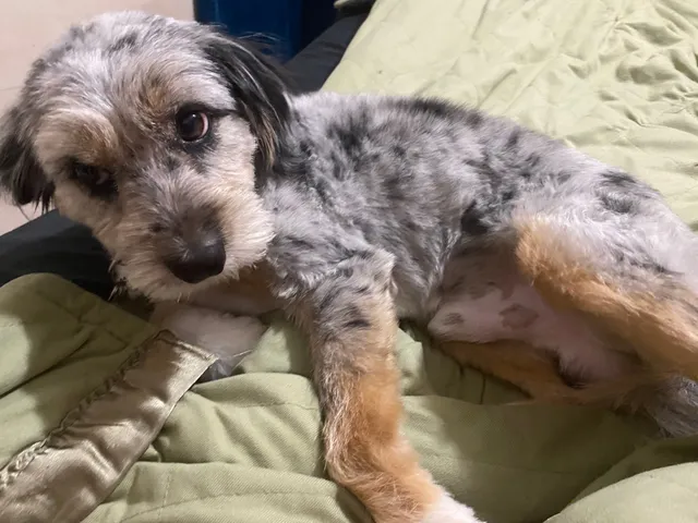 Finn/Finnick - Georgia Highway 166, Carrollton