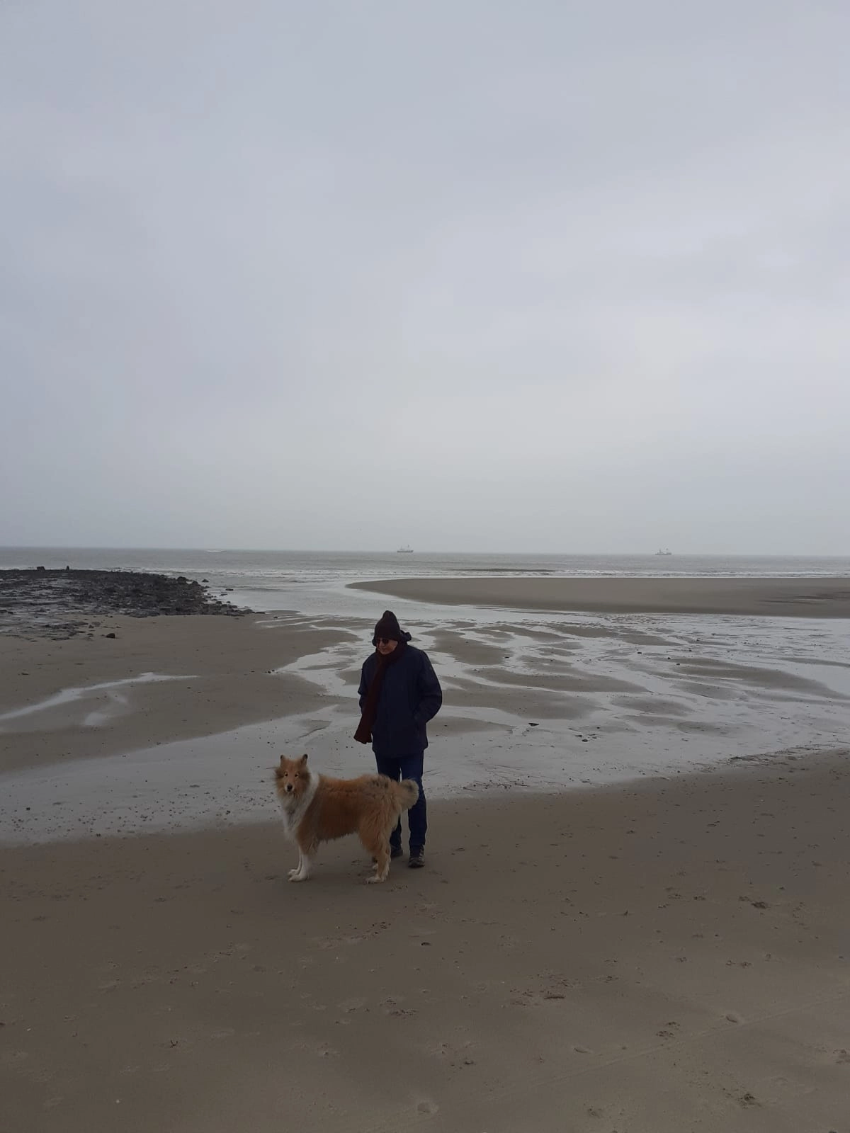 Bowie - Wolvesweg, Enter