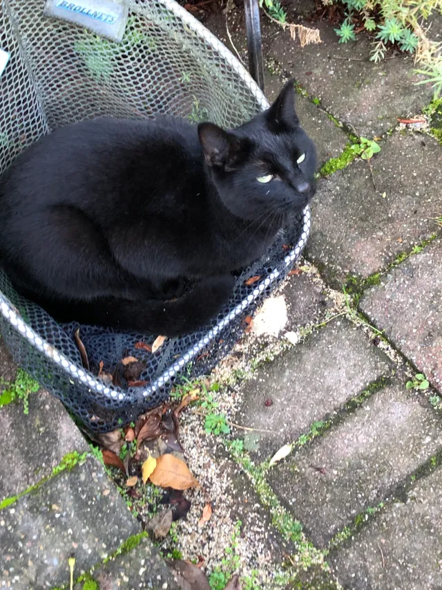 Marley - LE67 2, Coalville