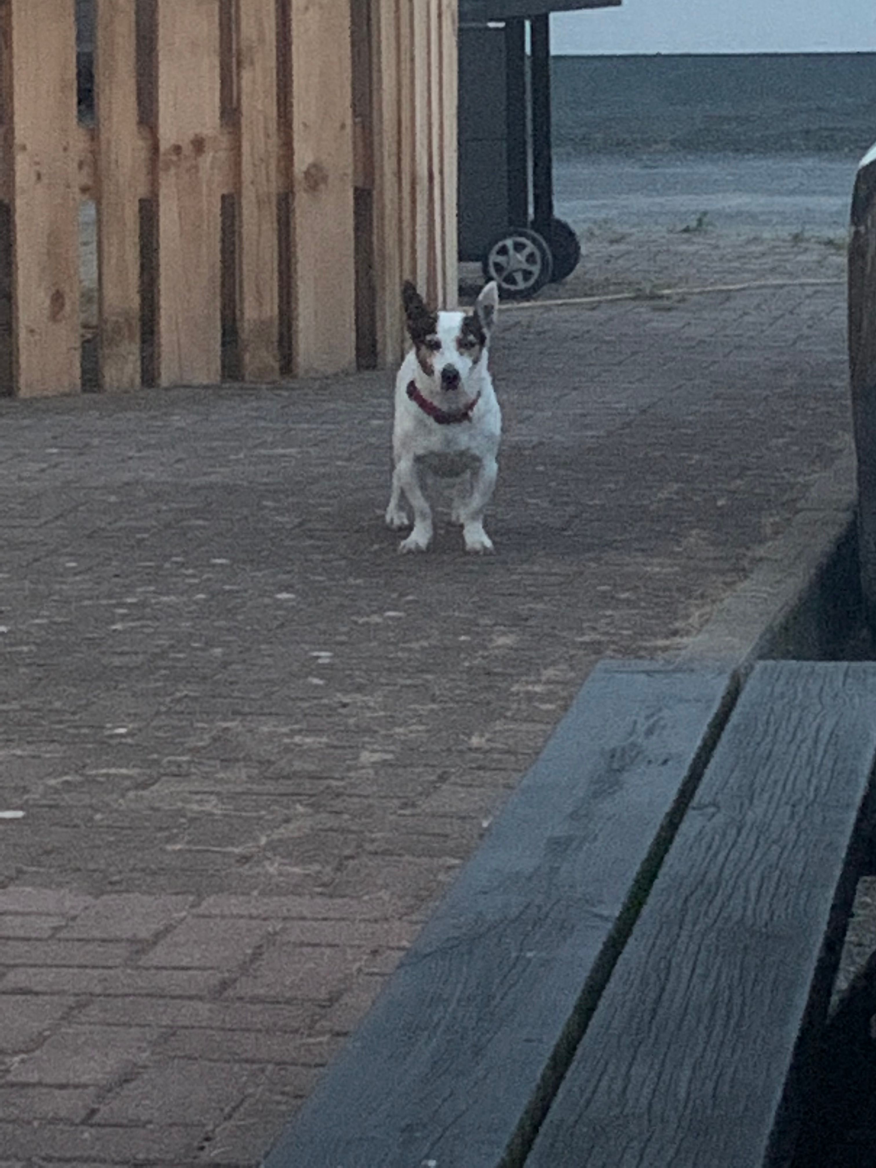 Ralph - R420, Geashill