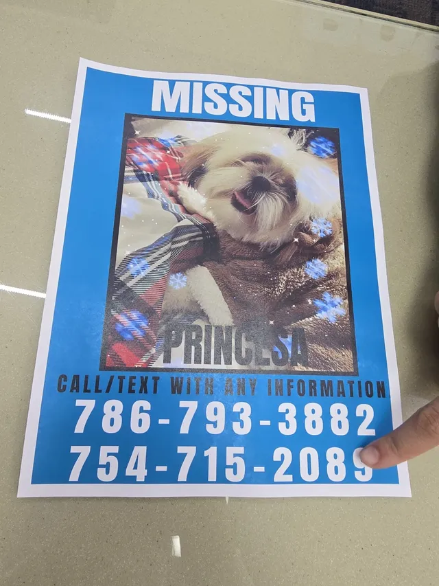 Princesa - 6660 NW 25th St, Fort Lauderdale