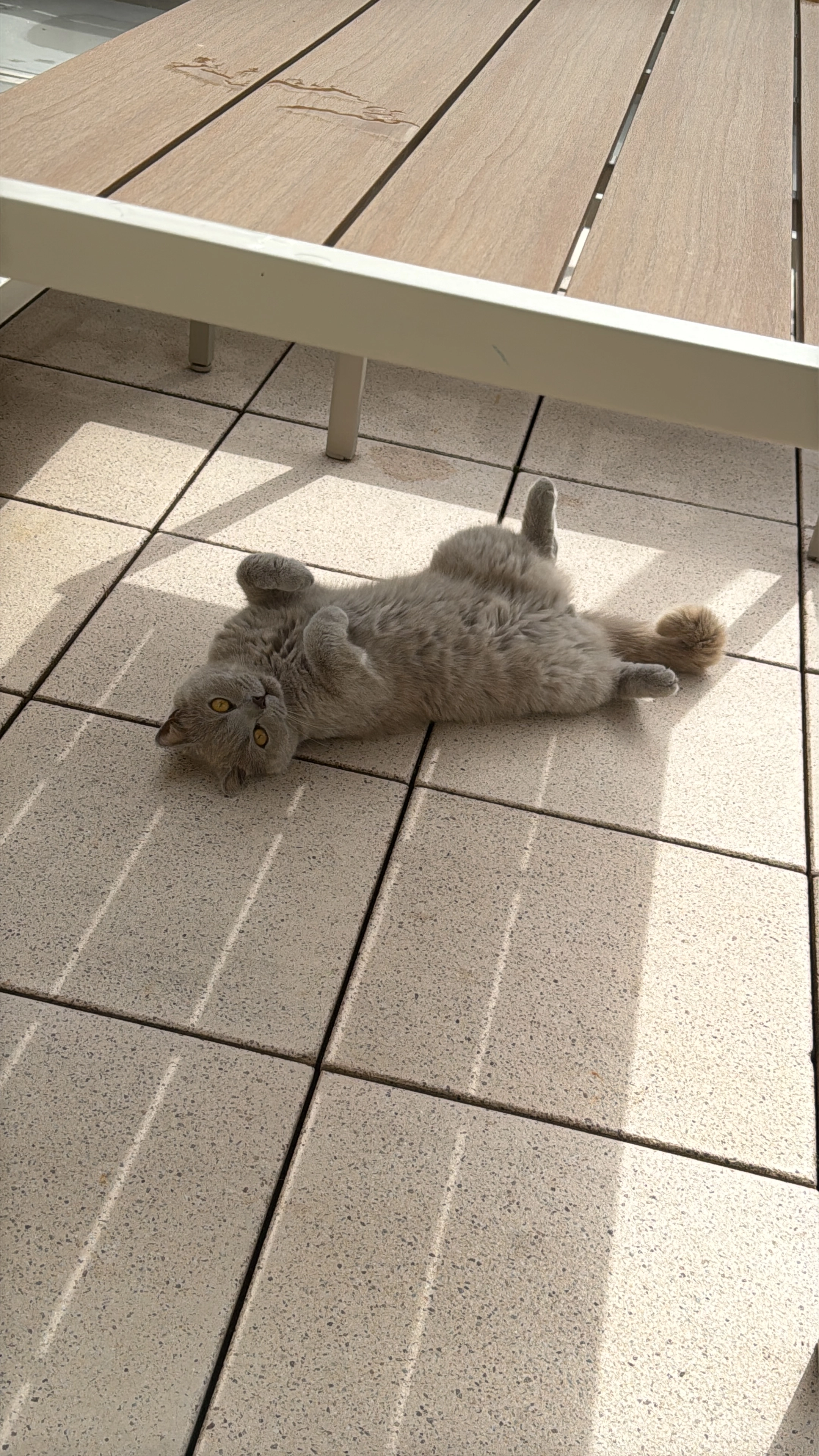 Hugo - Wilhelm-Leuschner-Straße, Seeheim-Jugenheim