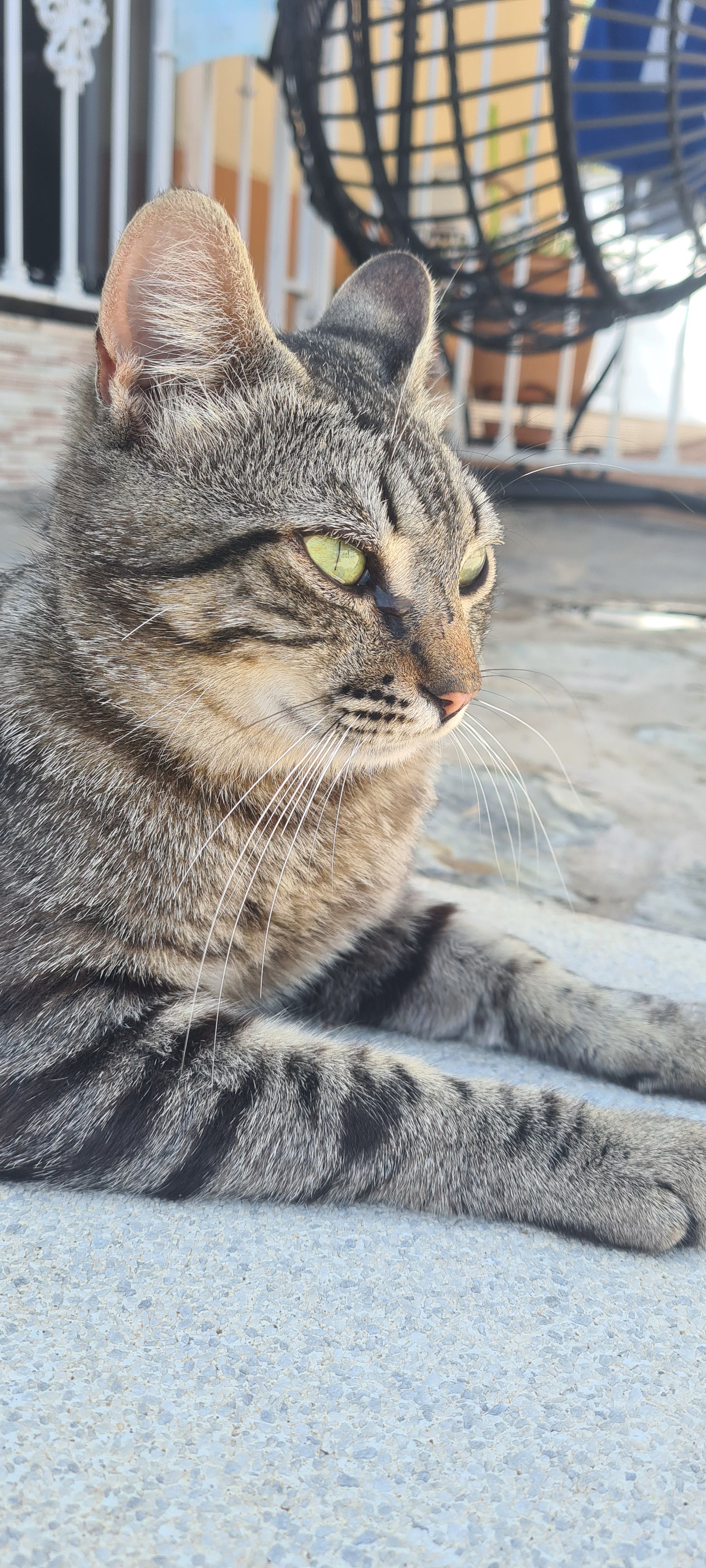 Monchi - Calle La Alameda, Córdoba