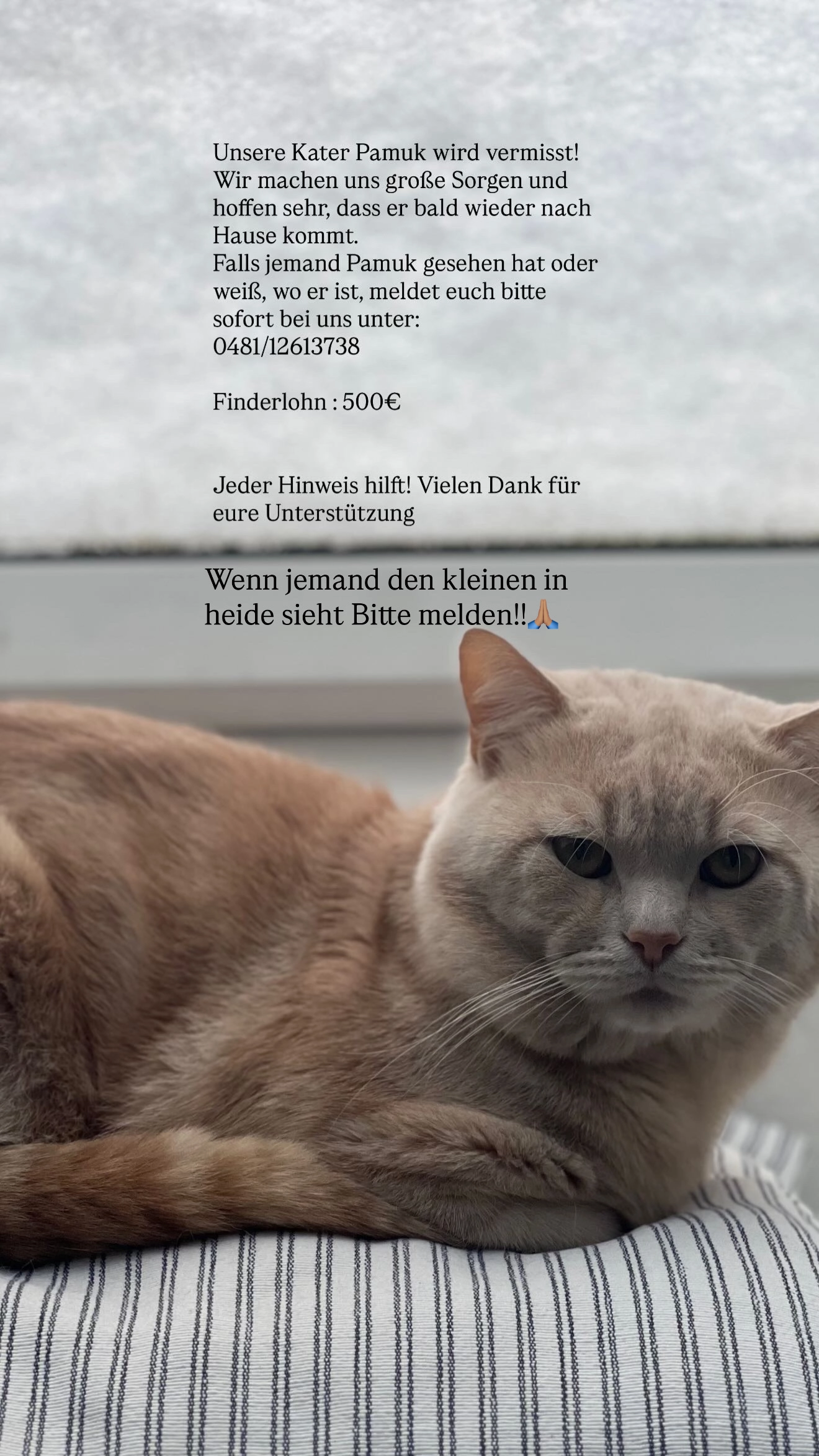 Pamuk - Schuhmacherort, Heide