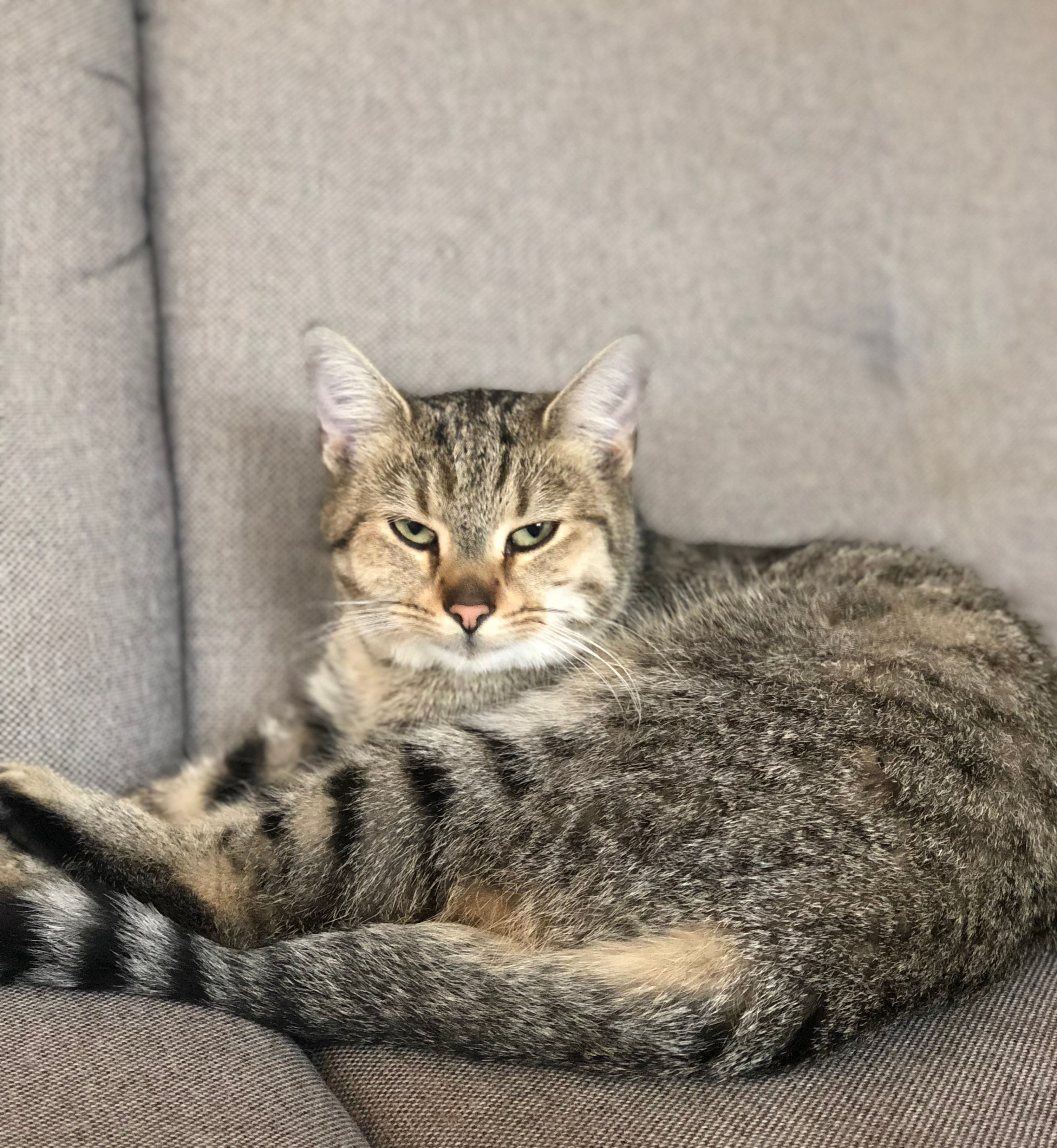 Mia - An Der Wiese, Nuthetal