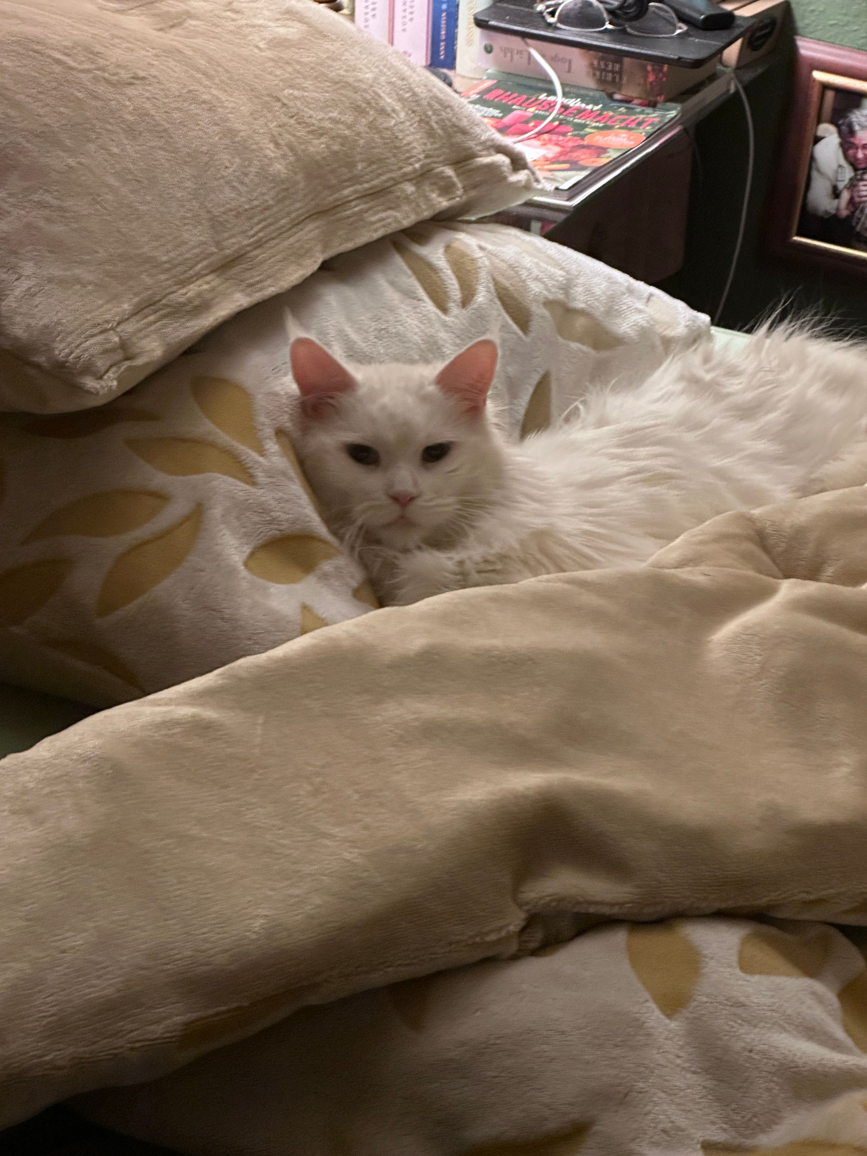 LUMI - Alter Schulweg, Dobersdorf