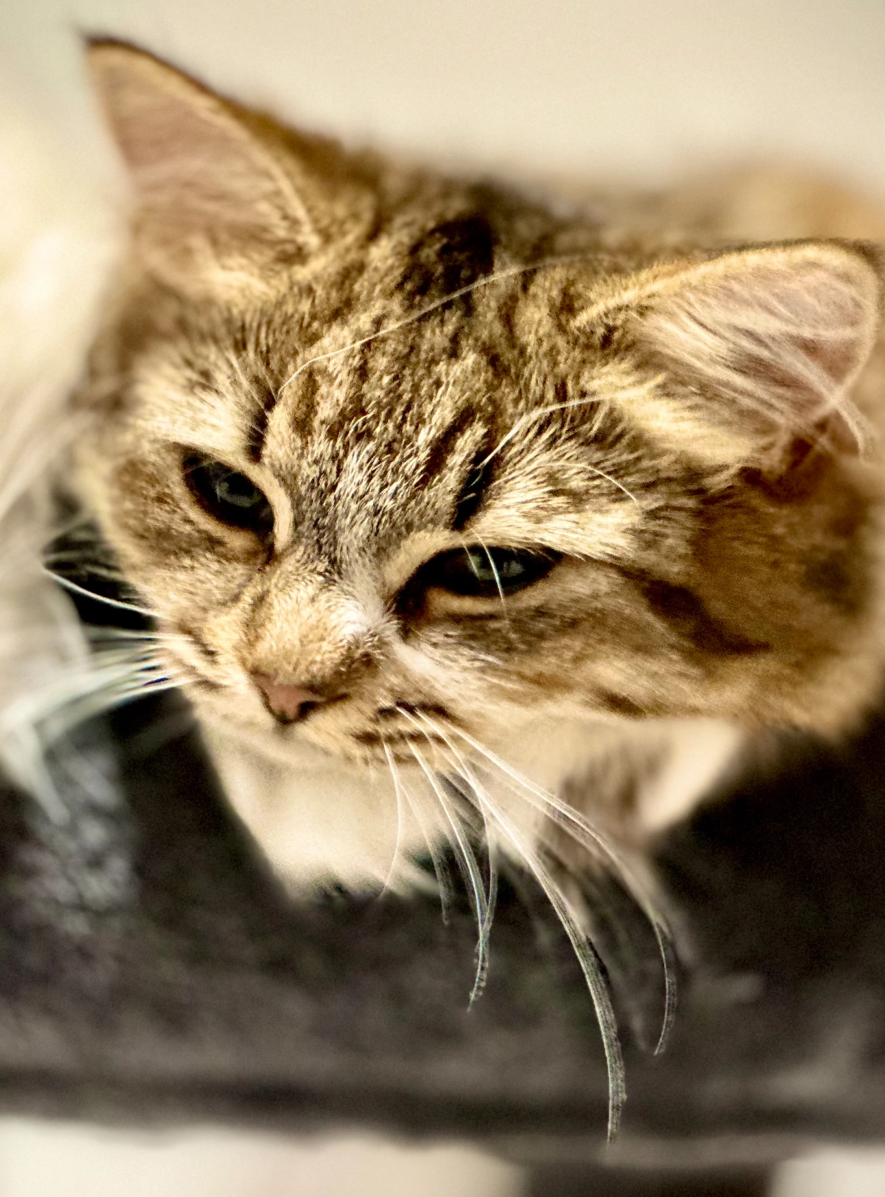 Milo - Queens Way, Bristol