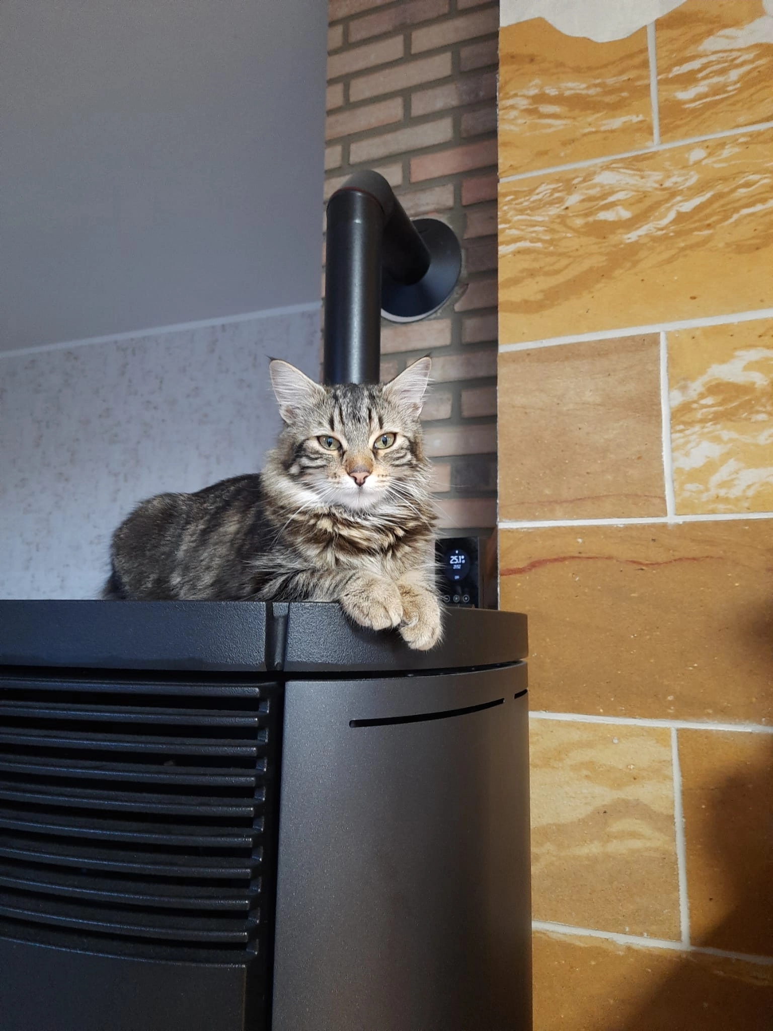 Mila - Am Buchenhain, Floß