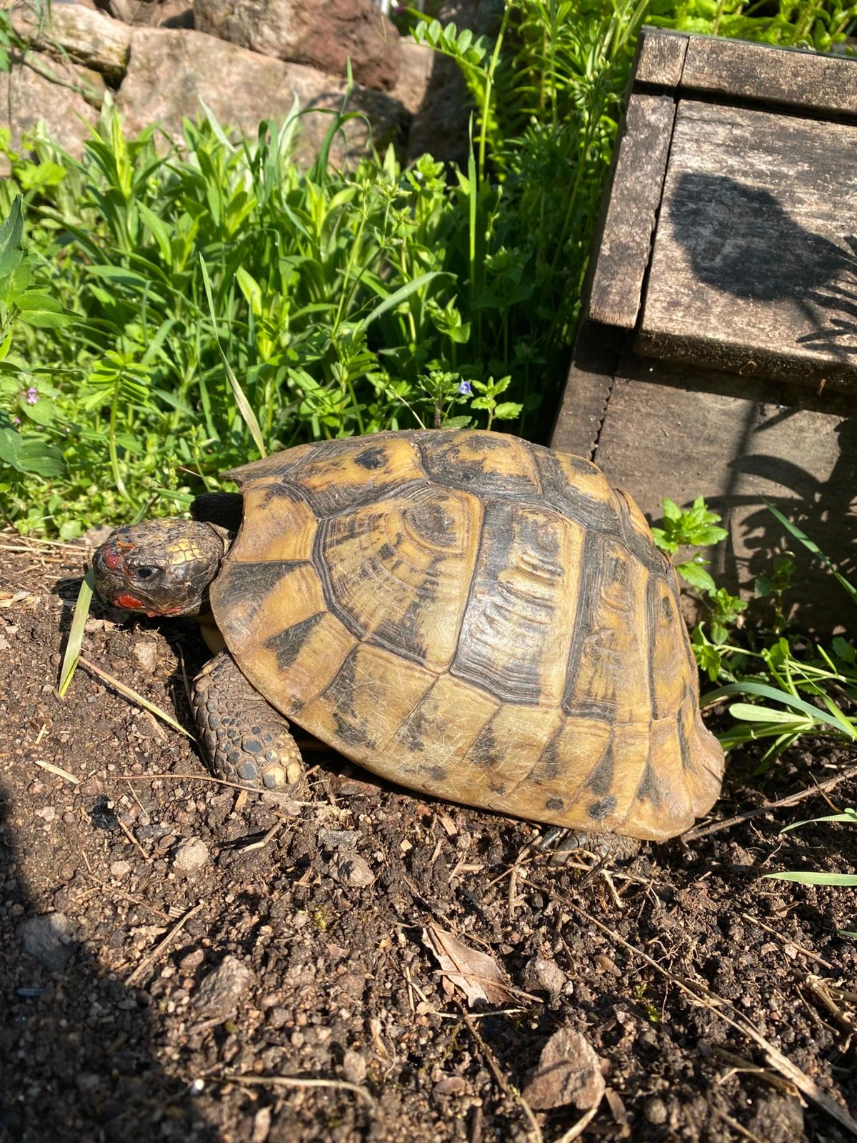 Hugo - Riedackerweg, 79688 Hausen im Wiesental